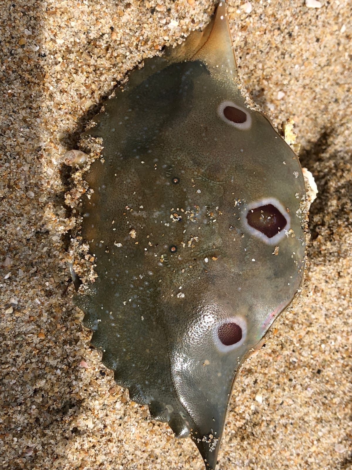 부산카페 드링클럽 광안점 photo 5