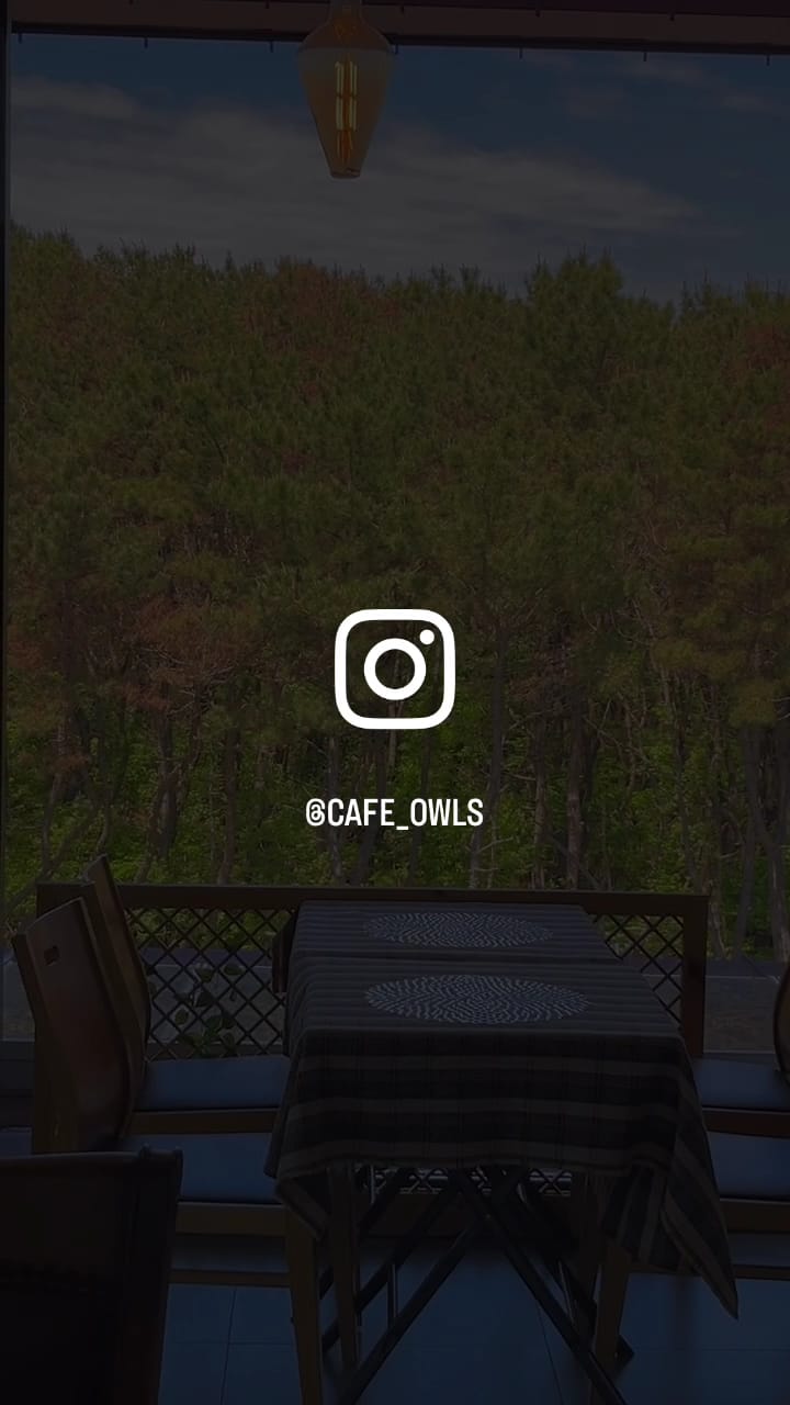 아울스 커피(owls coffee)