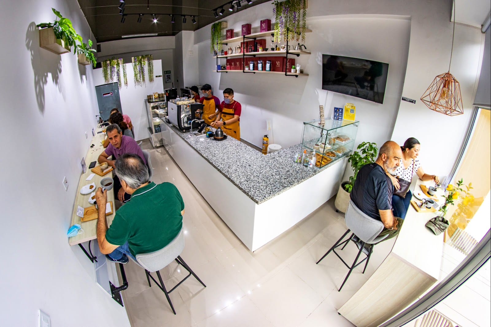 V3 COFFEE