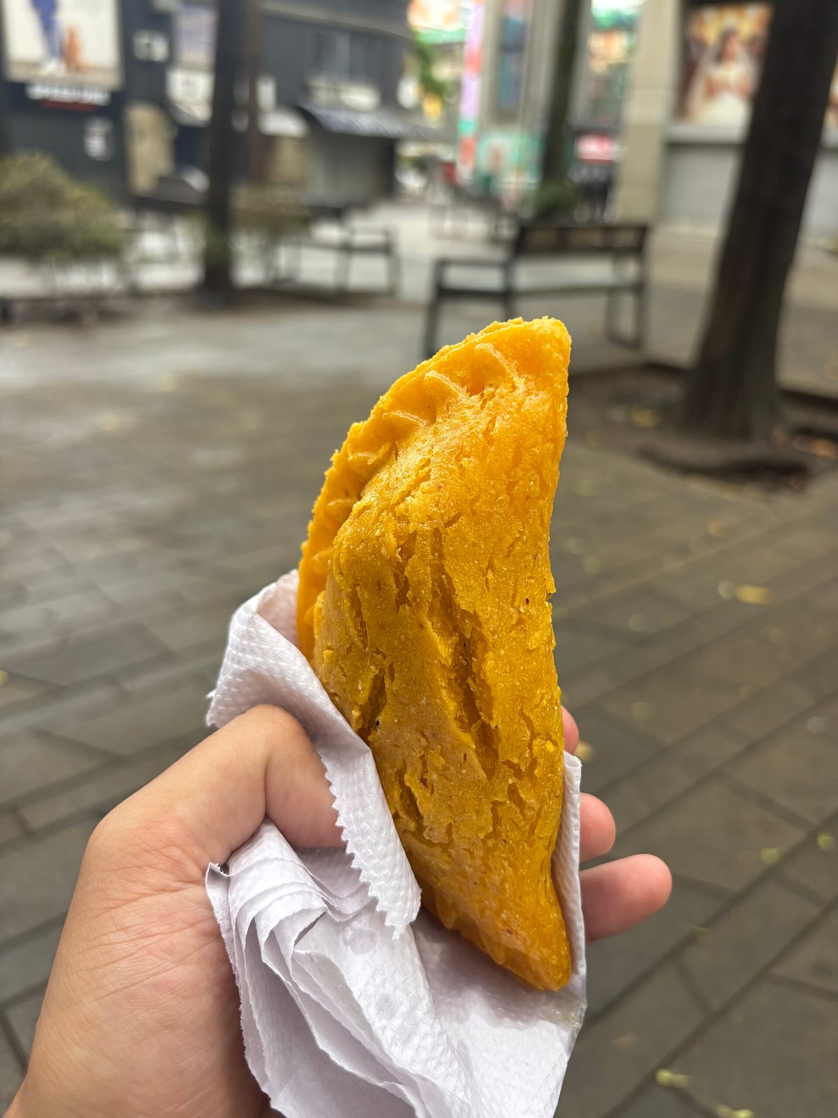 Medellin: Coffee Tour in Barrio La Sierra photo 3