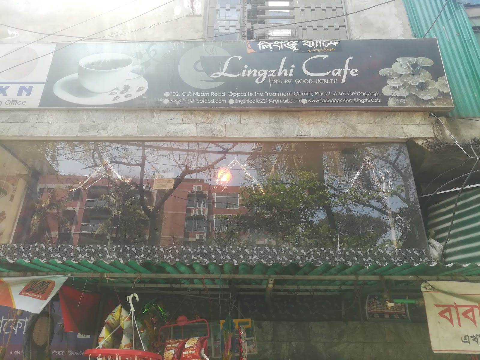Lingzhi Coffee