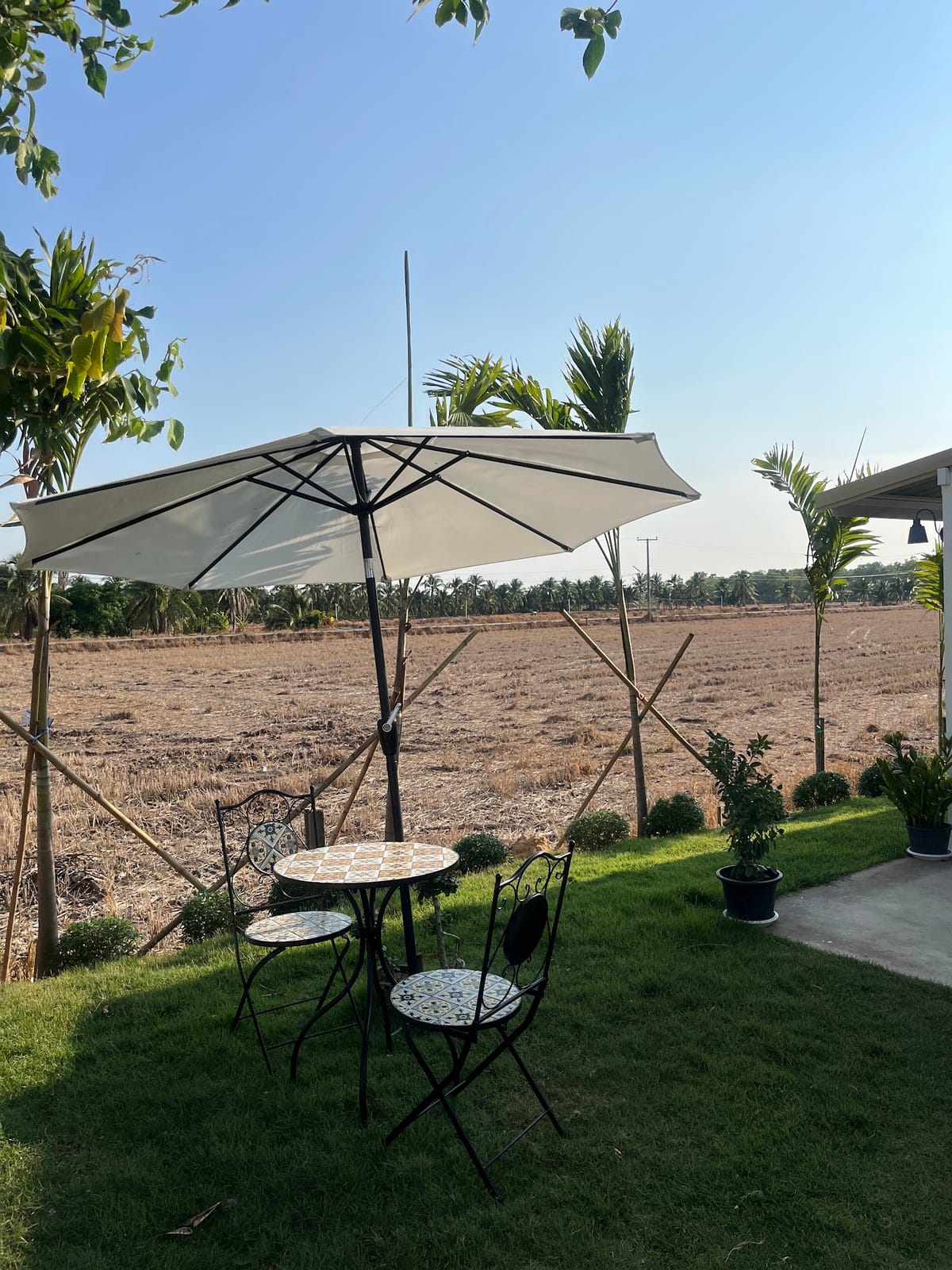 Rise Field “ทุ่งนา”