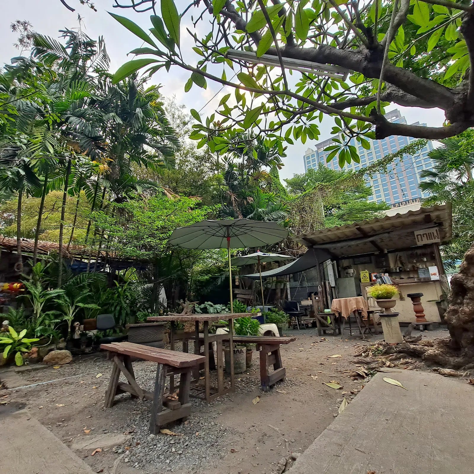 BaanBong24 - บ้านบง24