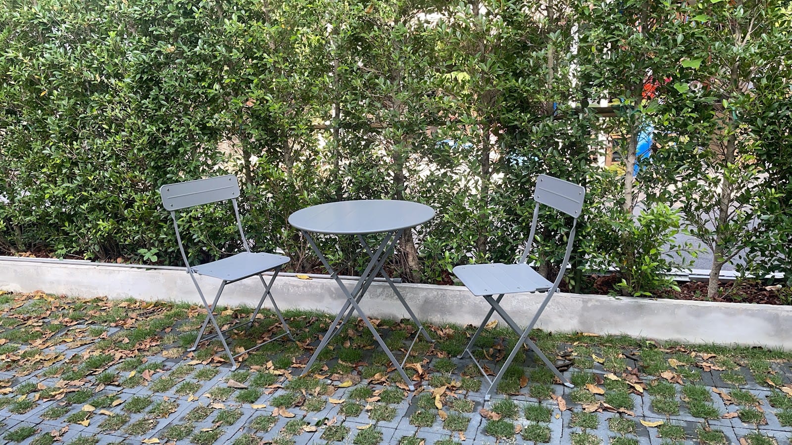 Backyard boy coffee
