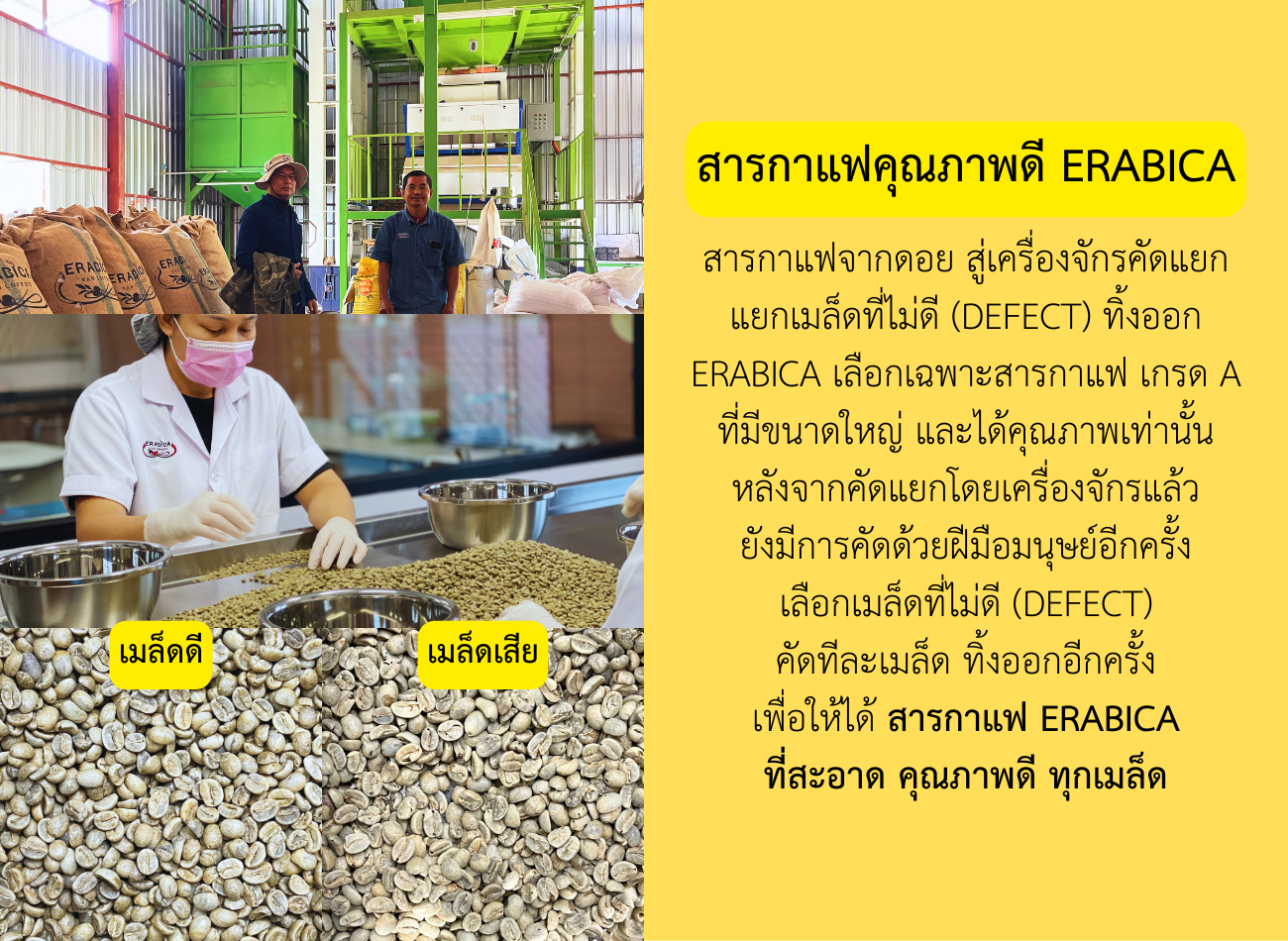 Erabica Coffee BKK (เอราบิก้า คอฟฟี่ กทม.) photo 4