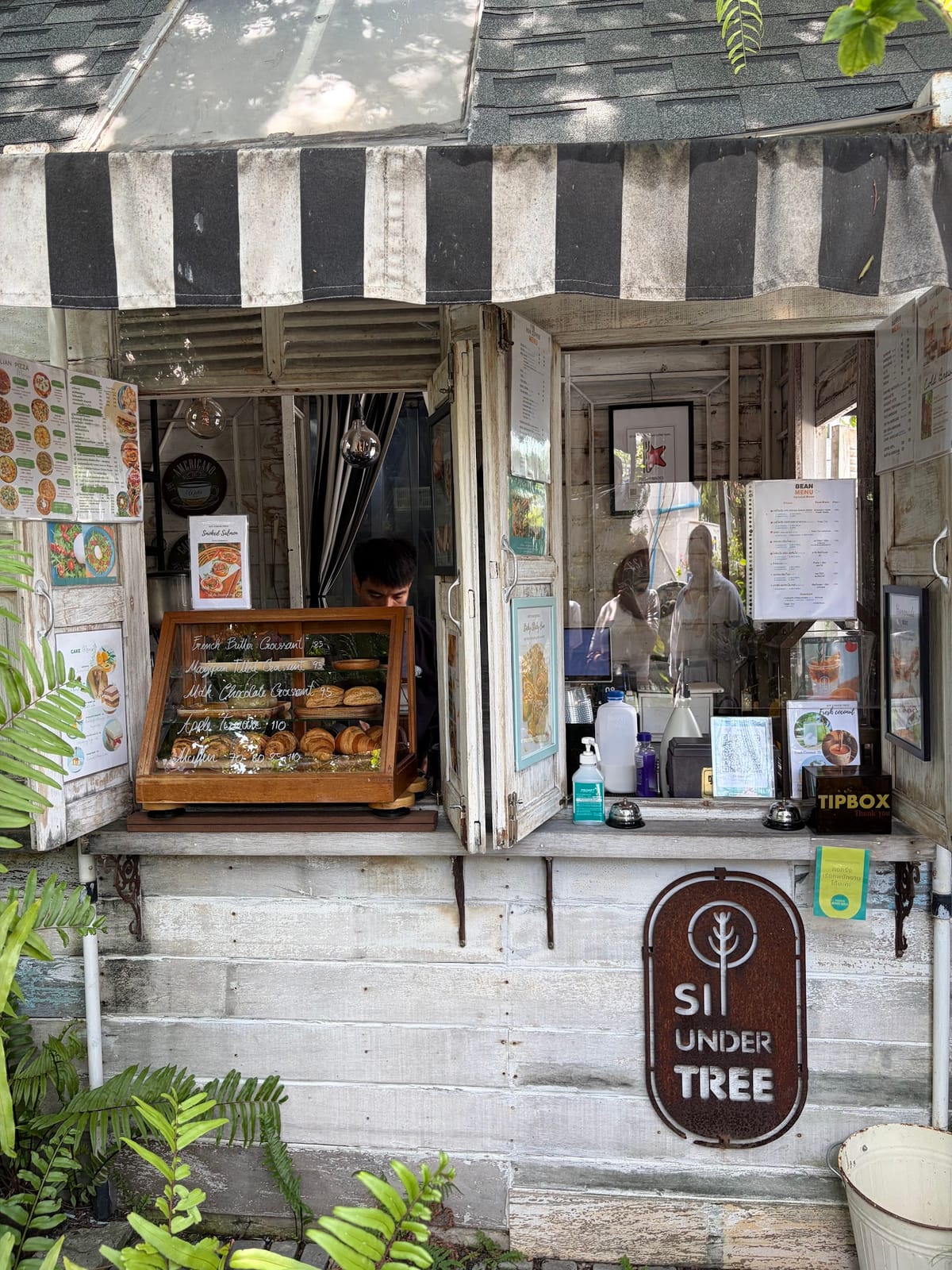 SIT UNDER TREE Special Coffee & Pizza