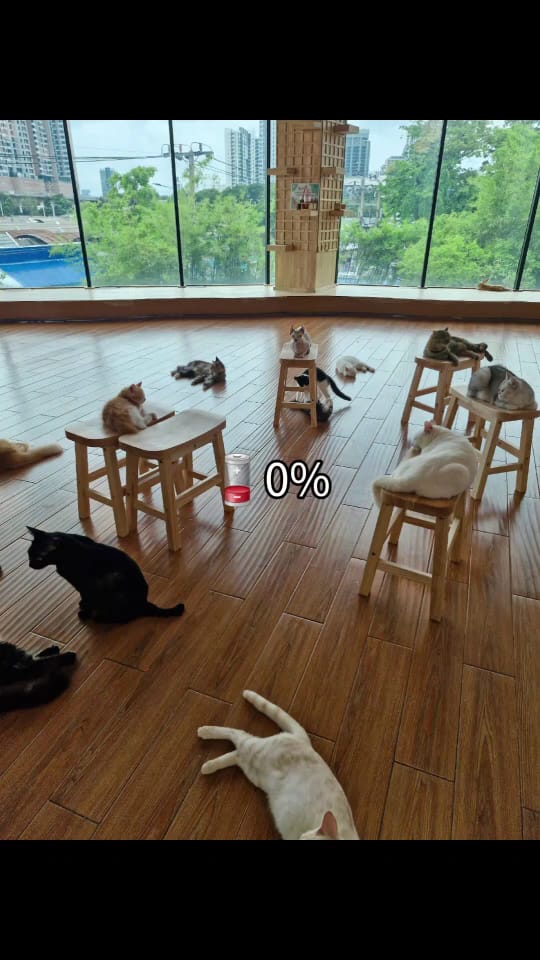 Catsmile Cafe Mixt Chatuchak