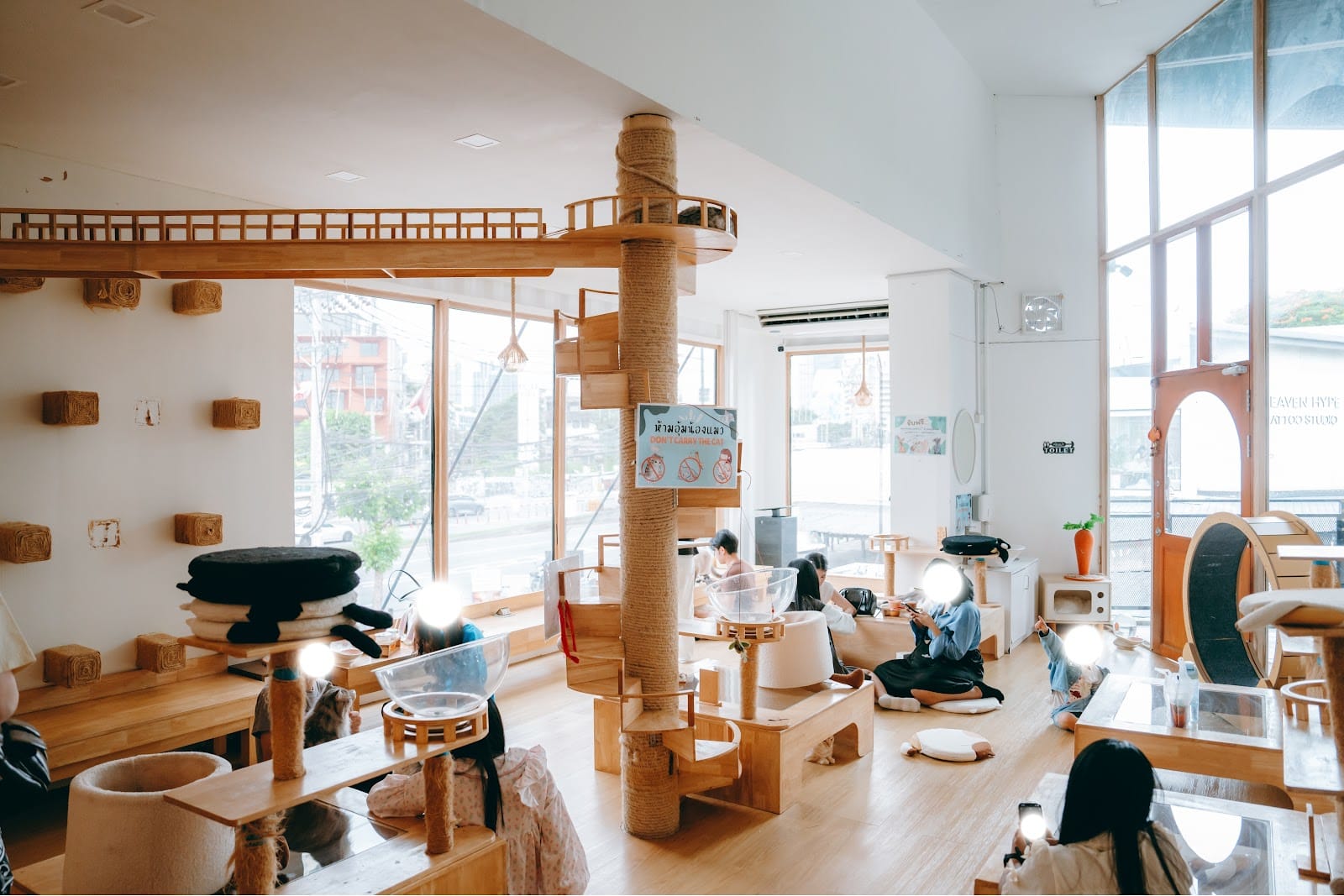 Catsmile Cafe