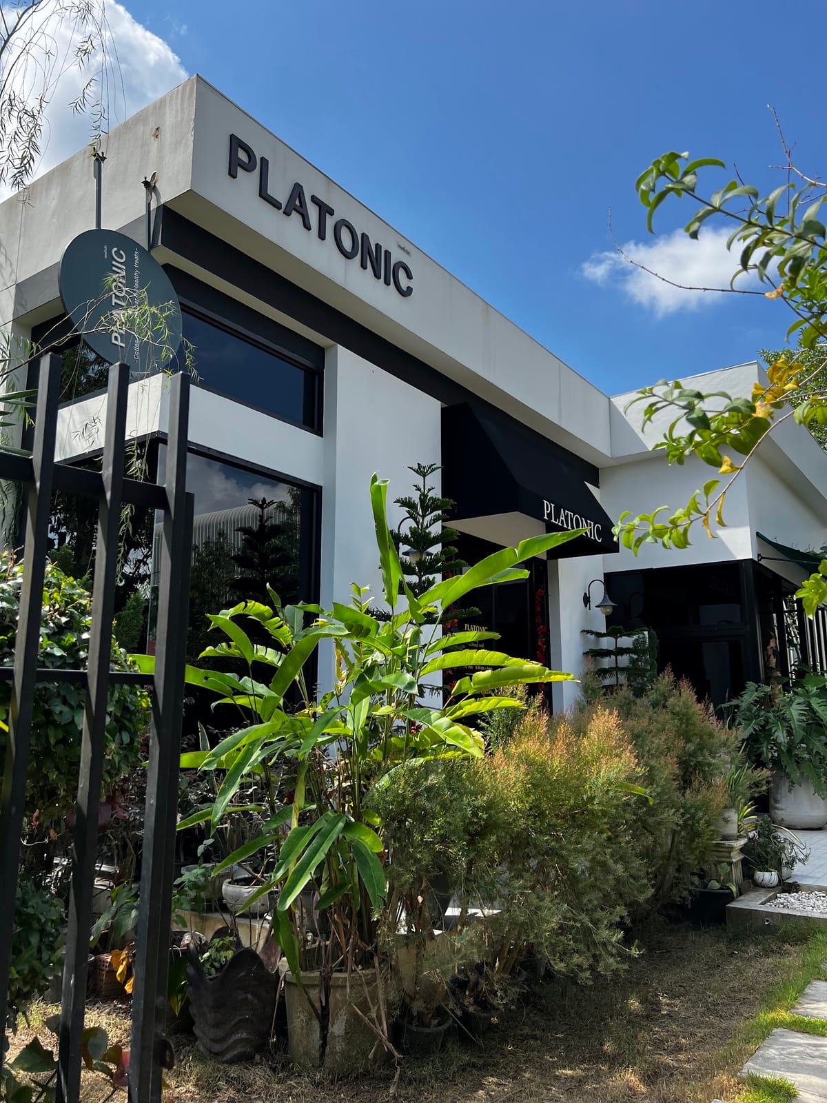 PLATONIC coffee & treats