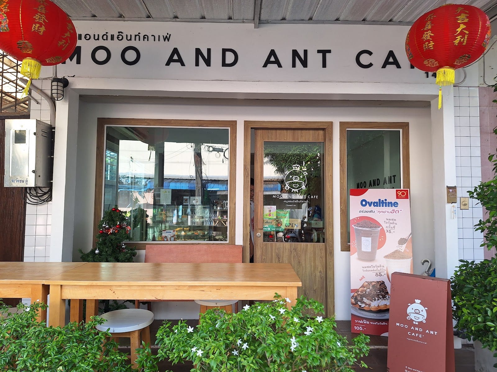 Moo and Ant Café