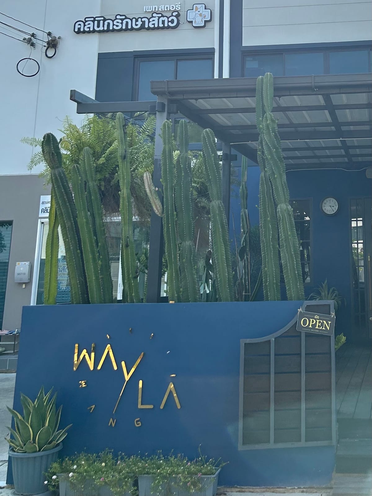 เวลาว่าง Waylawang Cafe and Dine