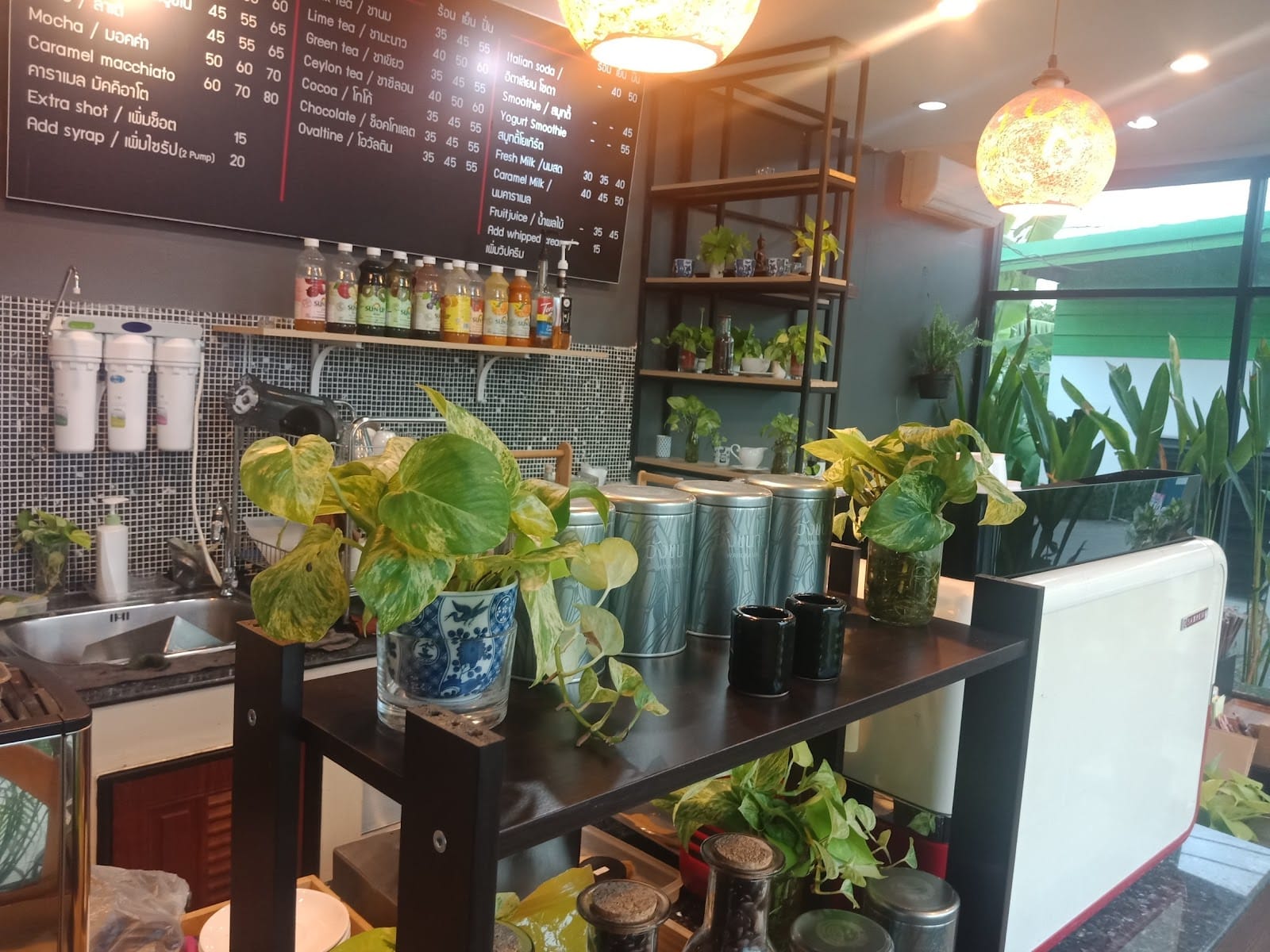Backyard Cafe
