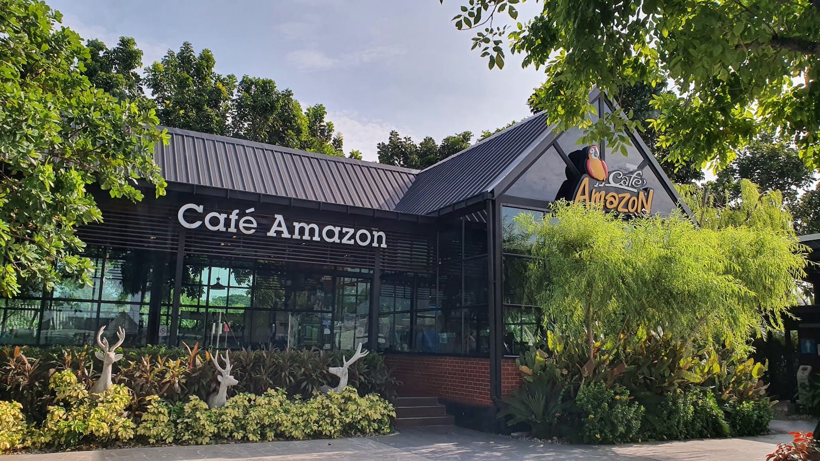 Café Amazon