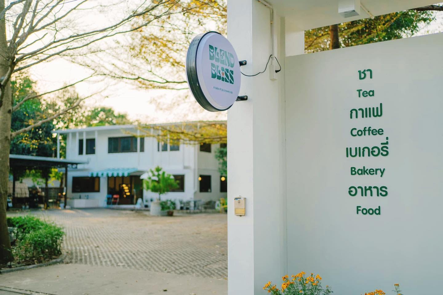 BLEND BLISS LAMPANG