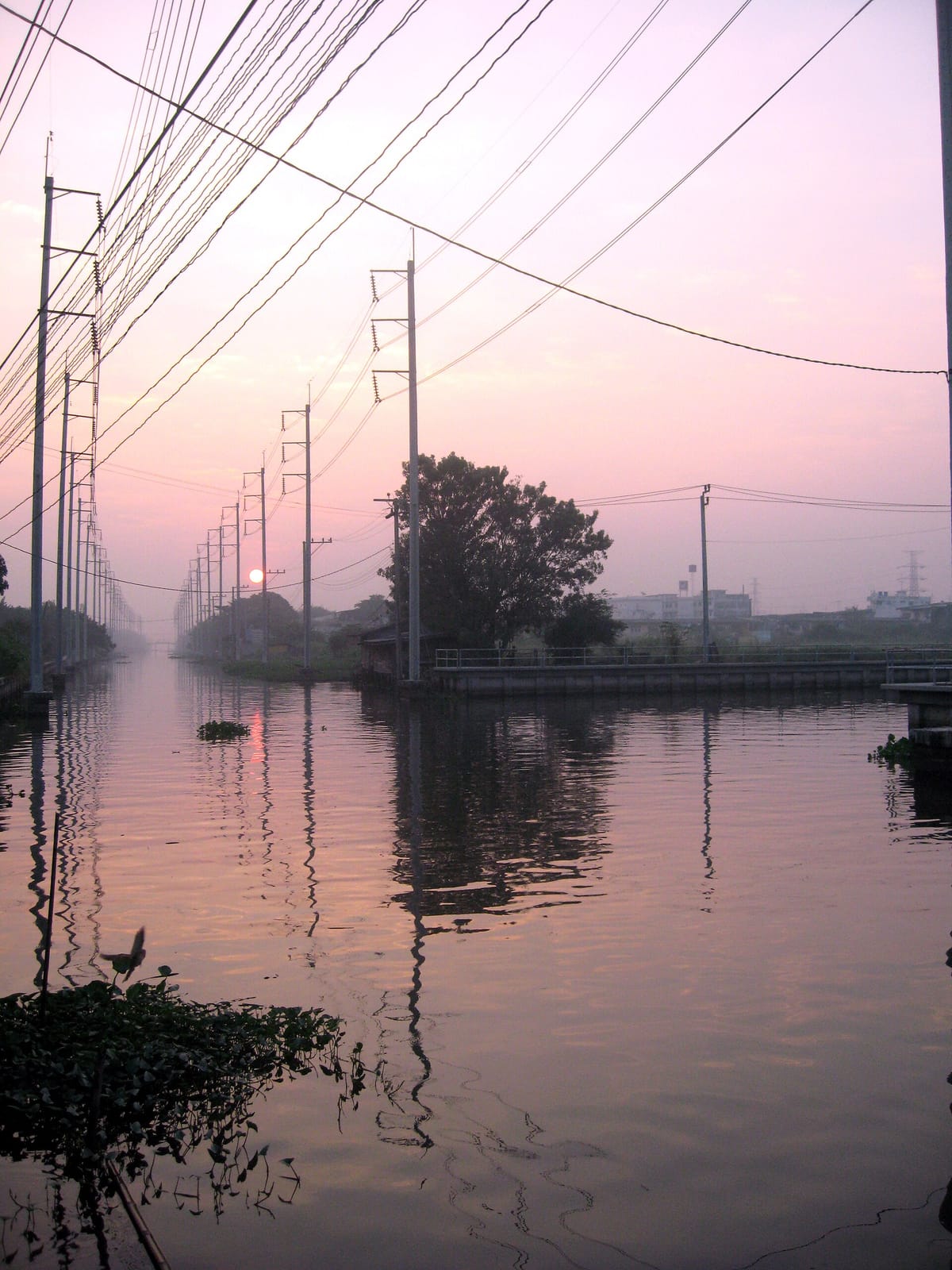 กลิ่นฝัน smell dream photo 2