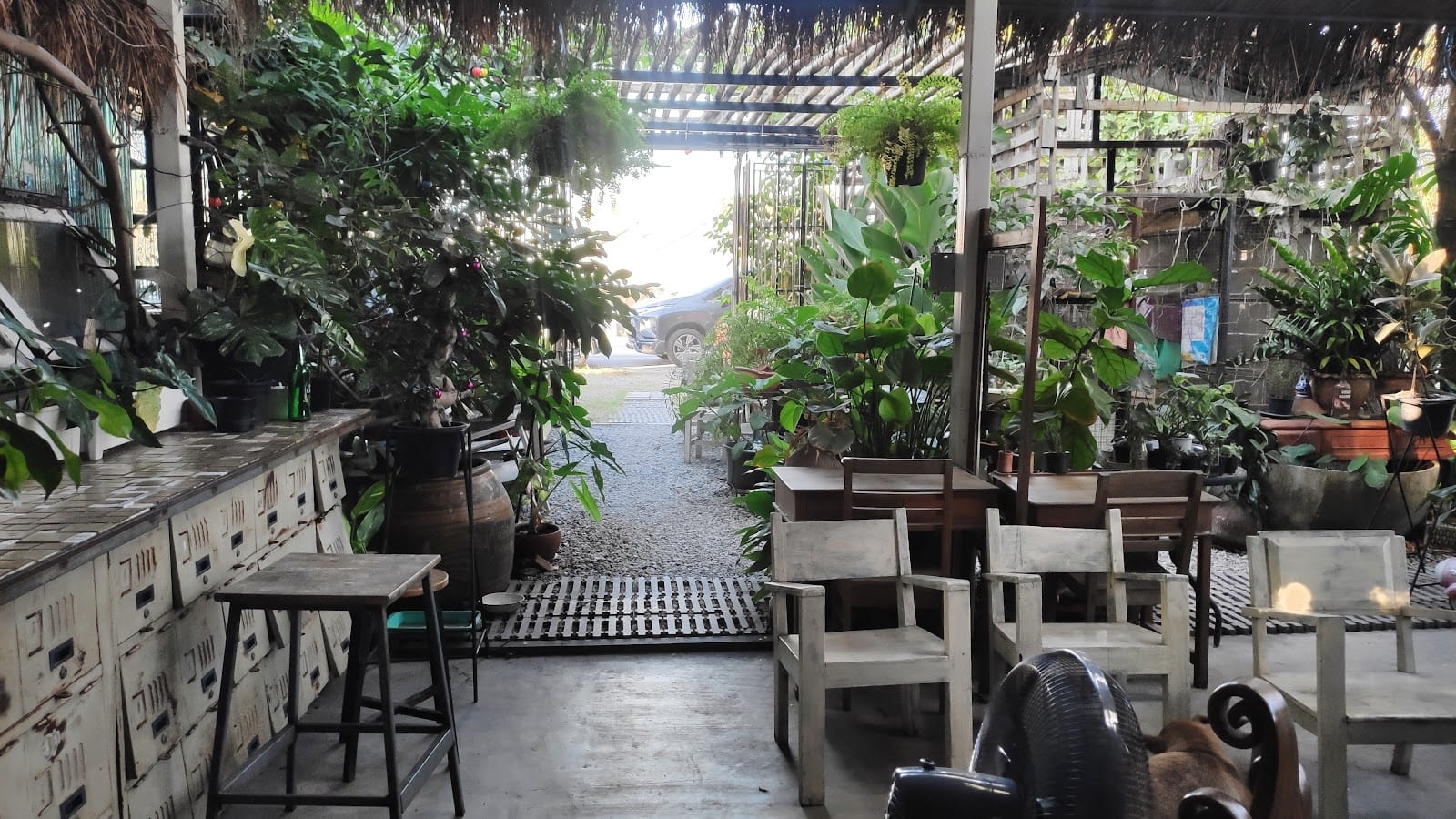 Cafe loong som jook