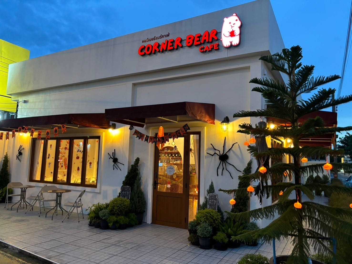 Corner Bear cafe
