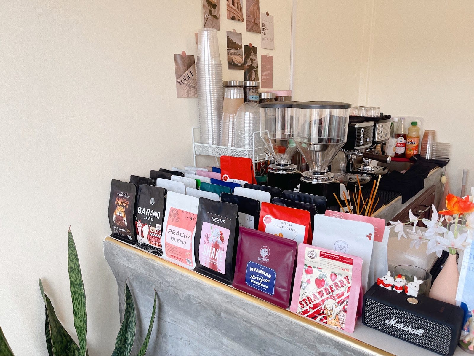 The Best Dream - Specialty Tea & Coffee Roasters