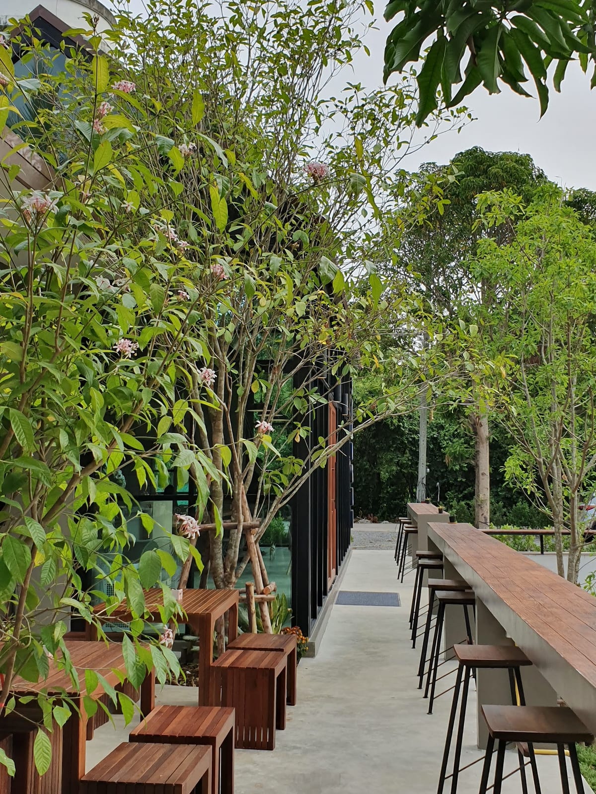 Suan Guu the Cafe