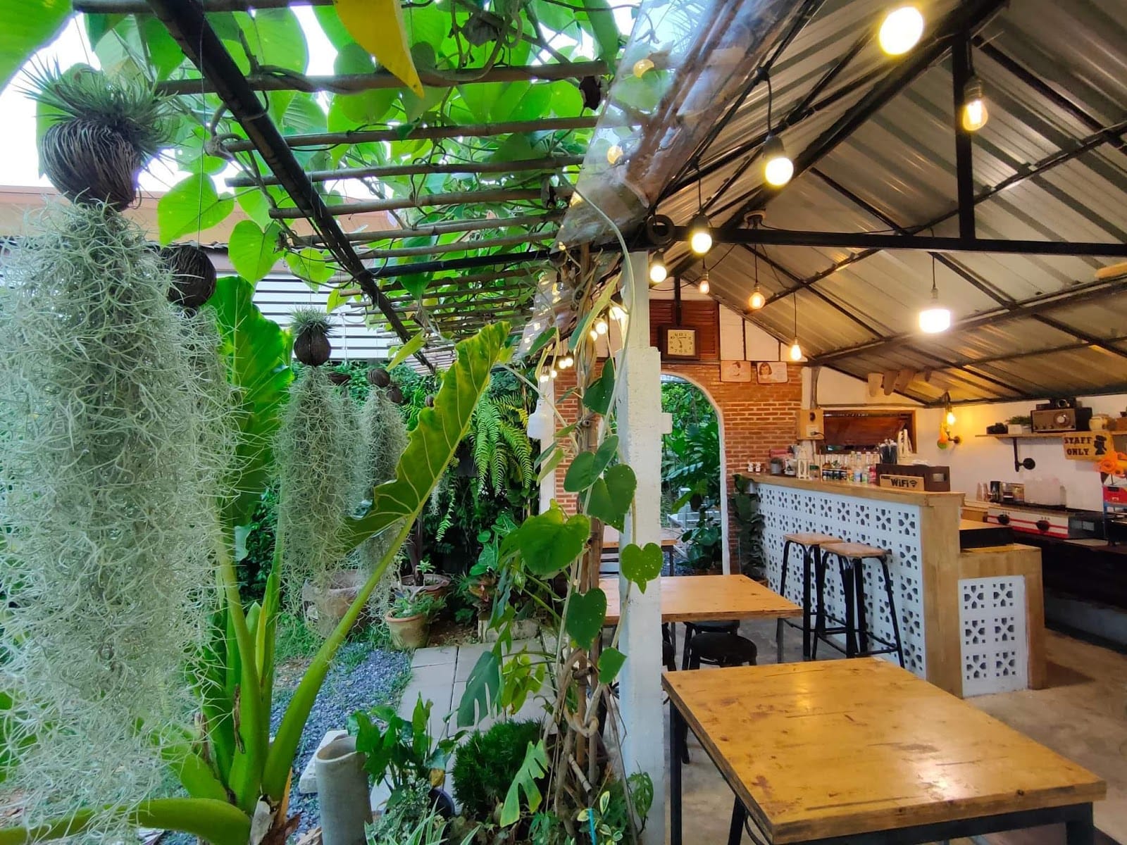 Soulmate cow wan cafe