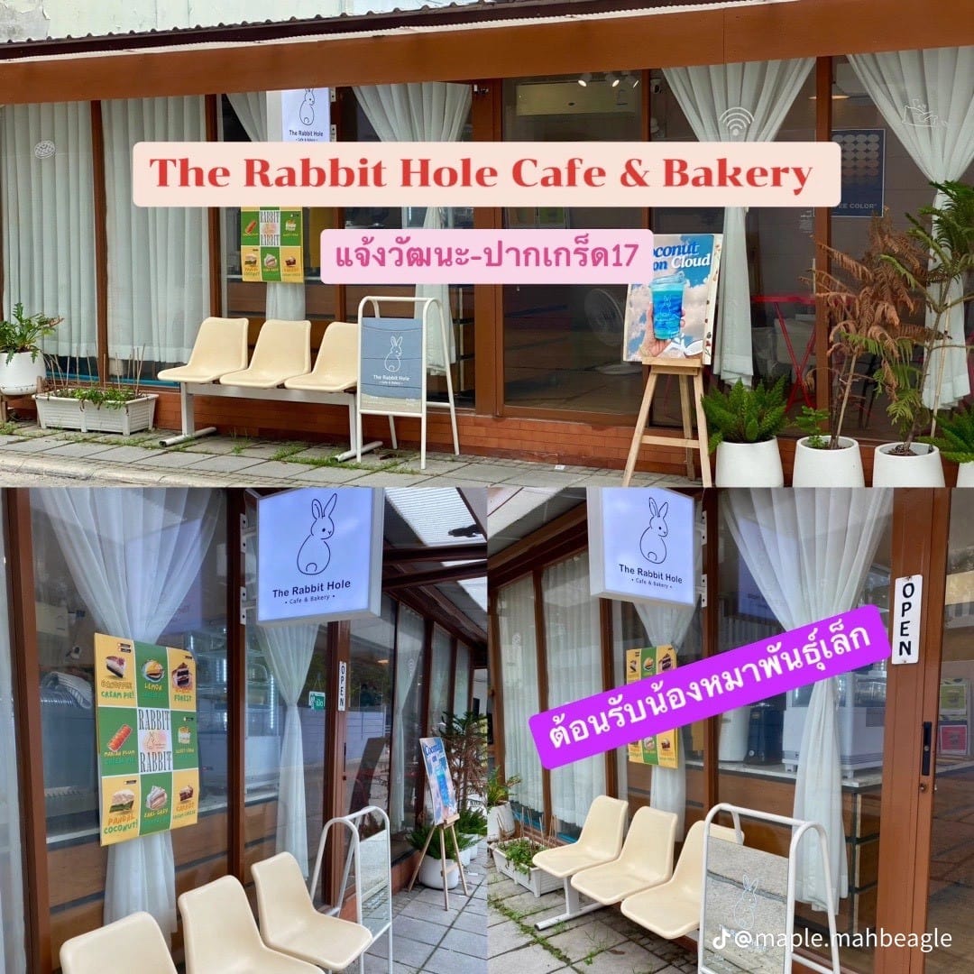 The Rabbit Hole Cafe แจ้งวัฒนะ-ปากเกร็ด 17
