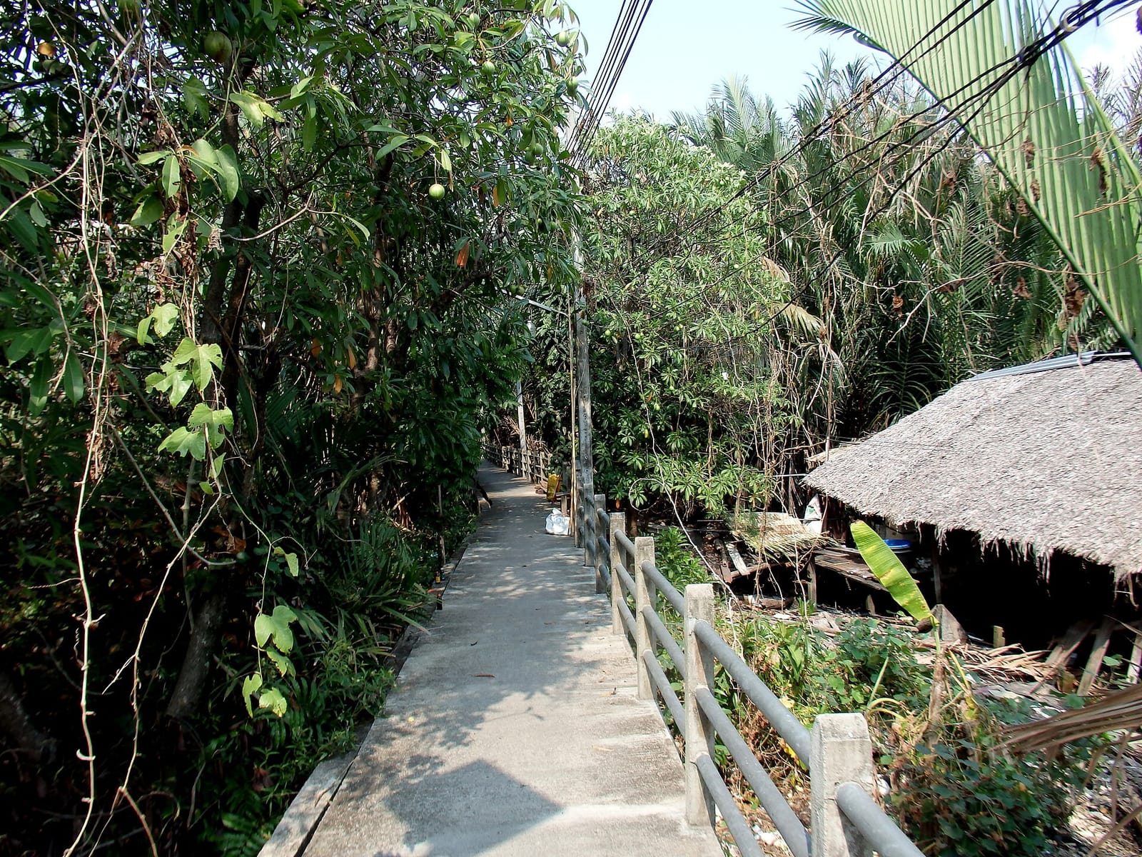 Sitting at Bang Nam Phueng Cafe photo 2