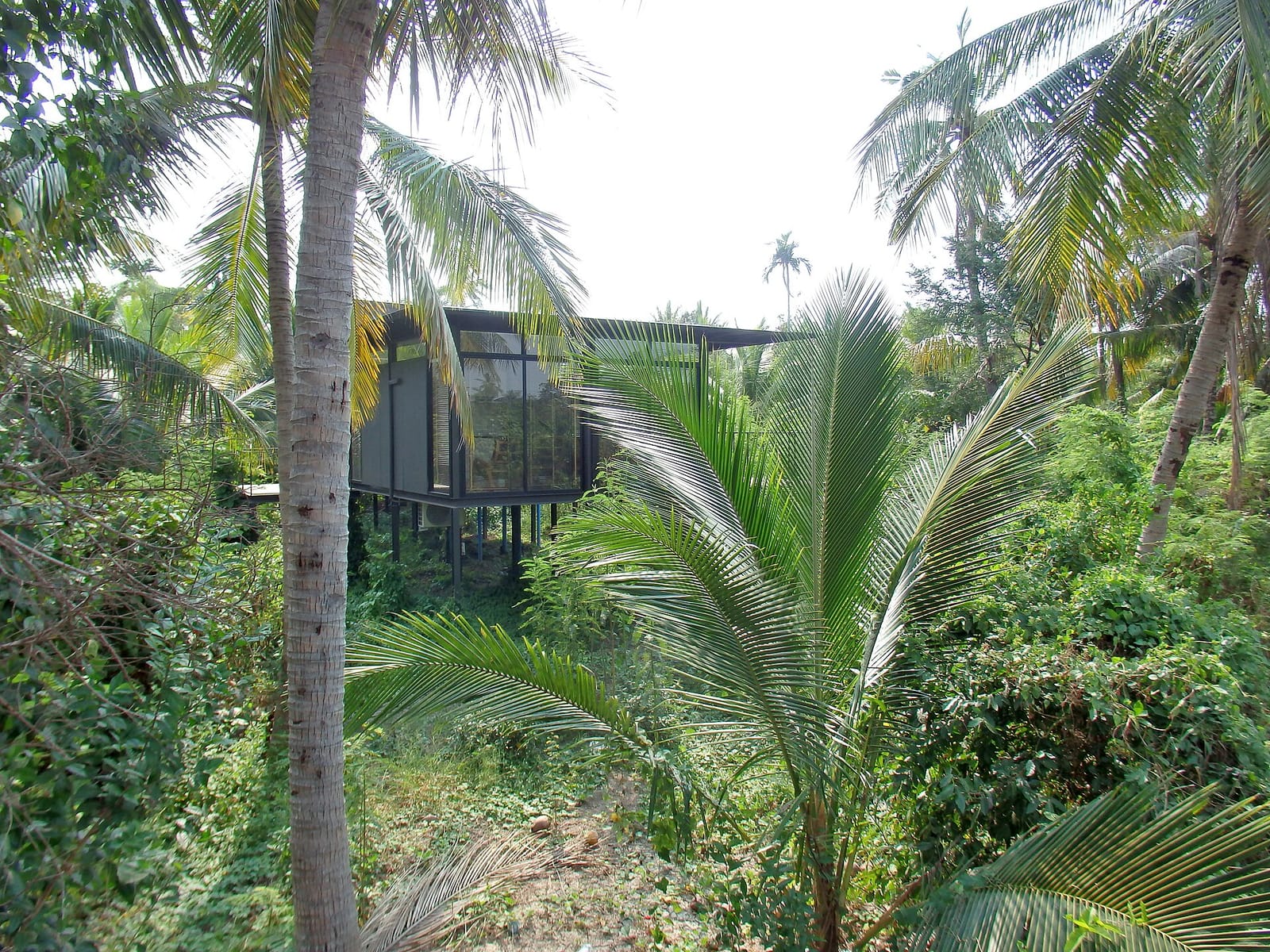 Baan Makham Bang Nam Pheung photo 4