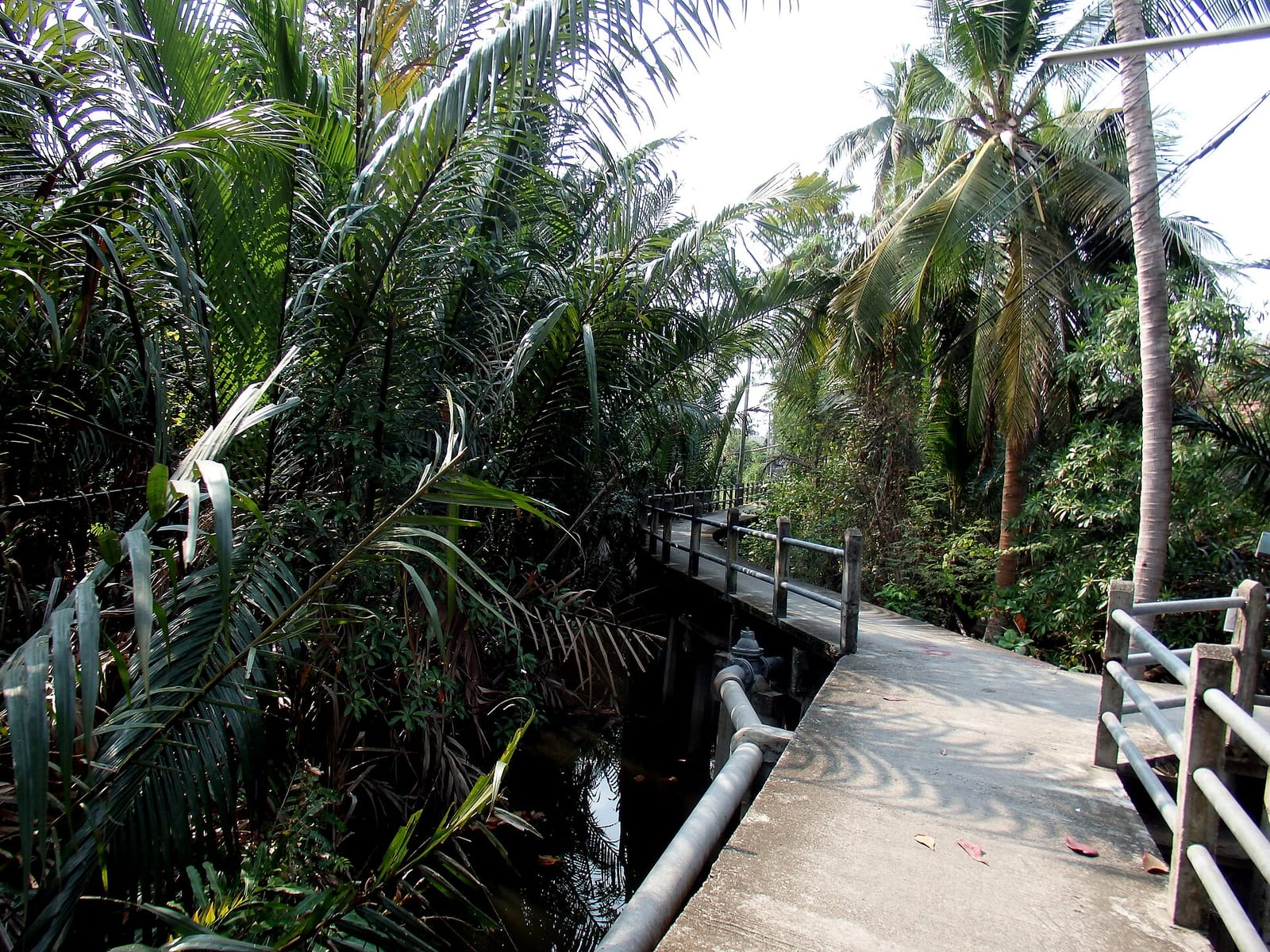 Baan Makham Bang Nam Pheung photo 3