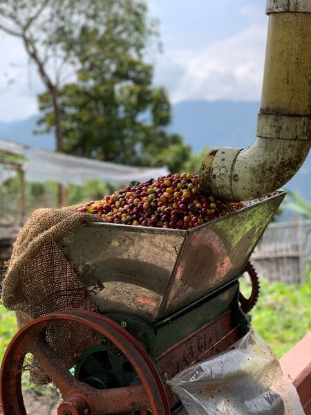 Ceresia Coffee Roasters photo 4