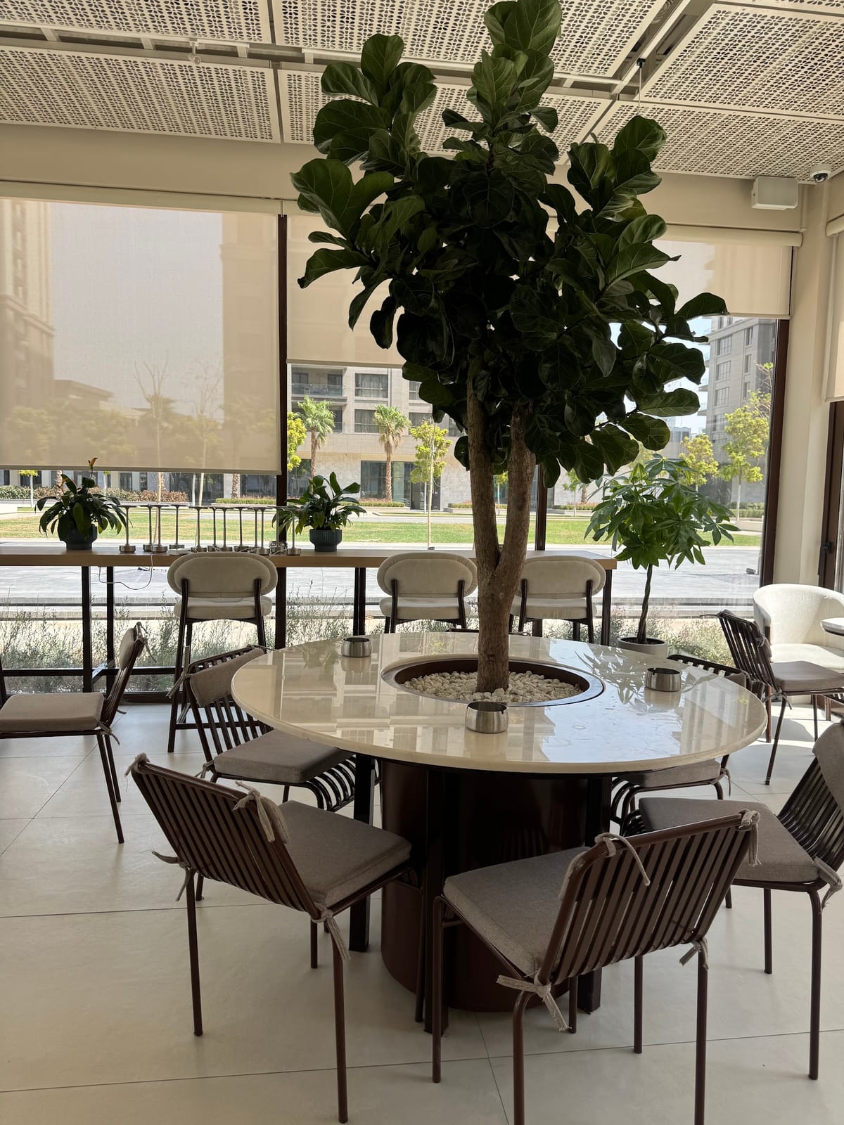 Typica Cafe