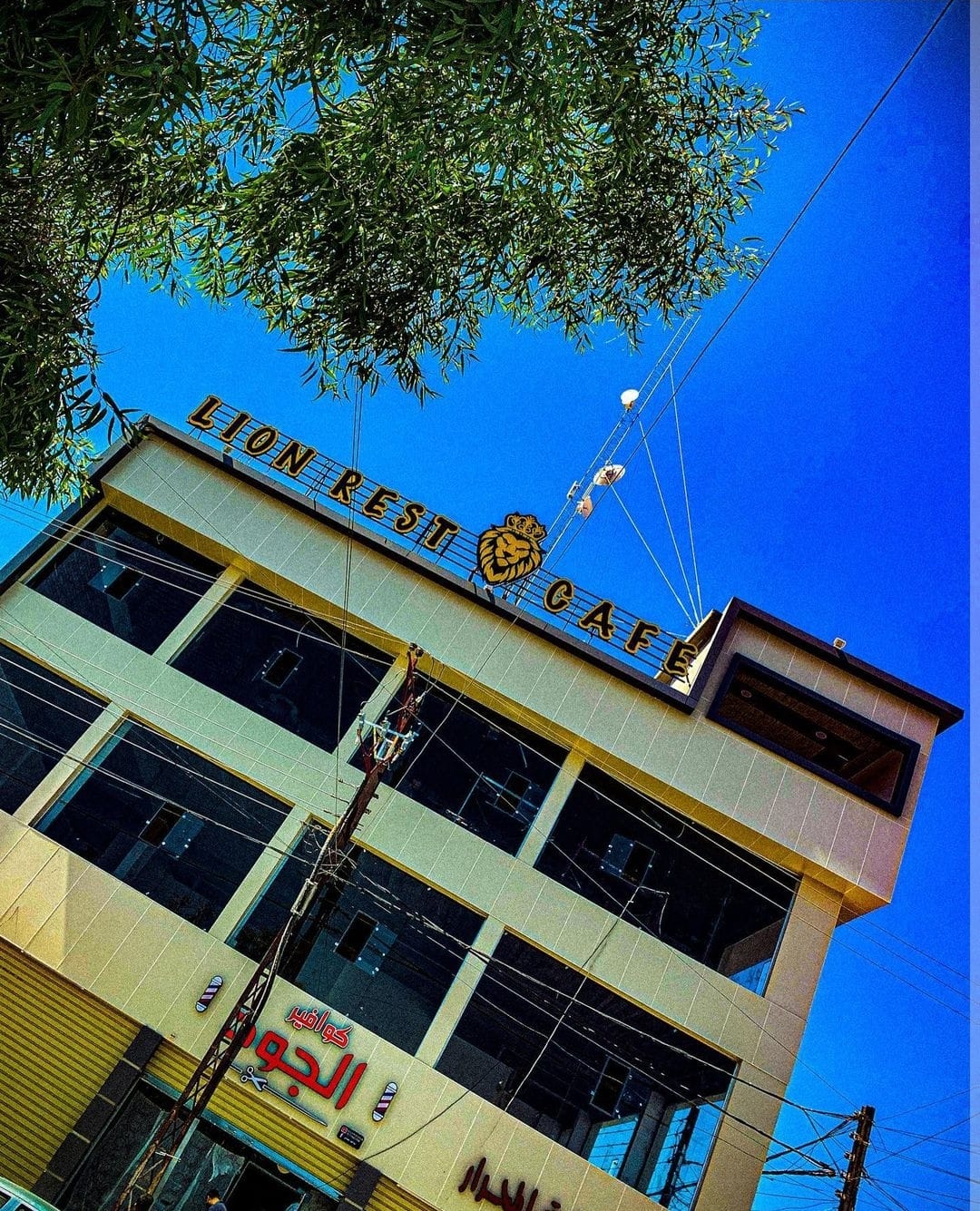 Lion 2 Rest & Cafe