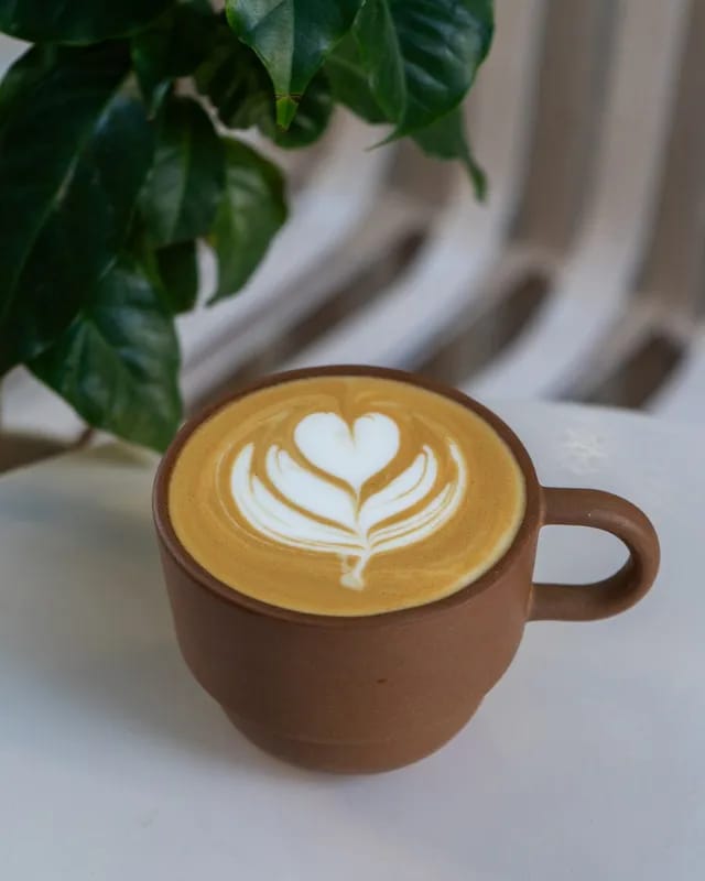 Bold Specialty Coffee photo 5