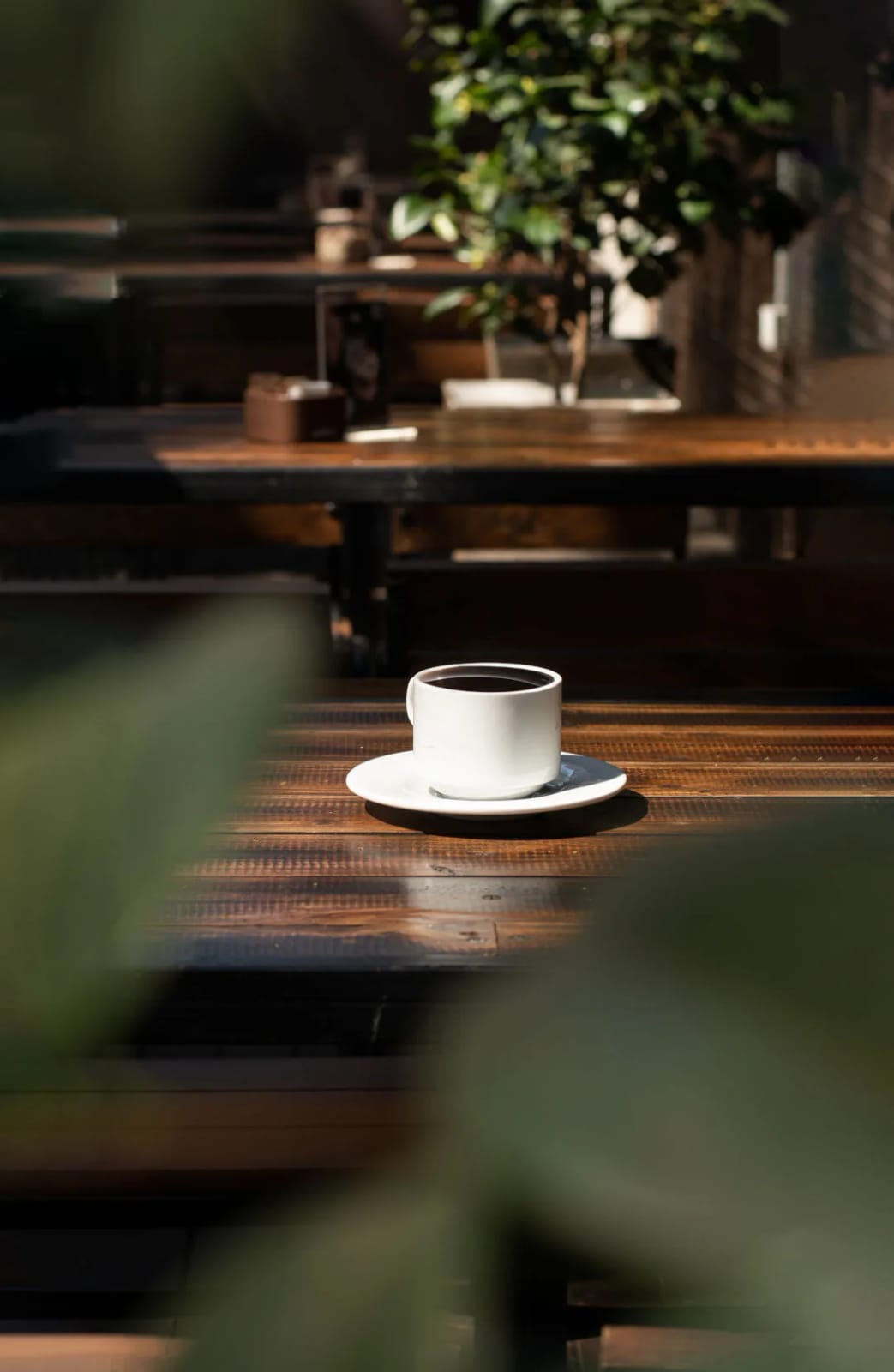 Fika Coffee Shop 6 Poniente photo 6
