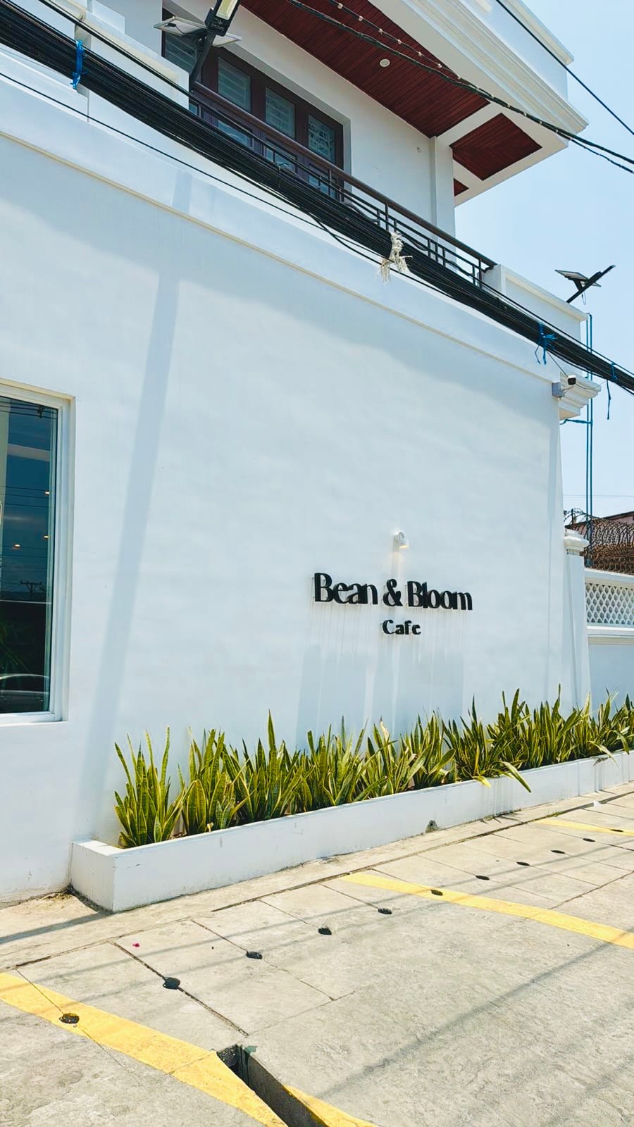 Bean & Bloom