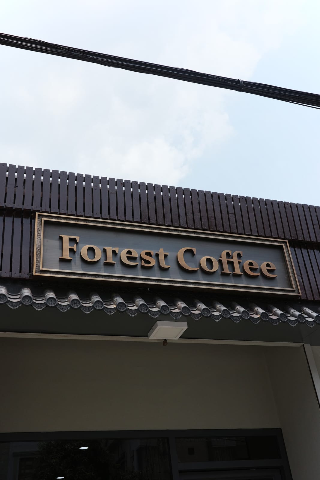 Forest Coffee