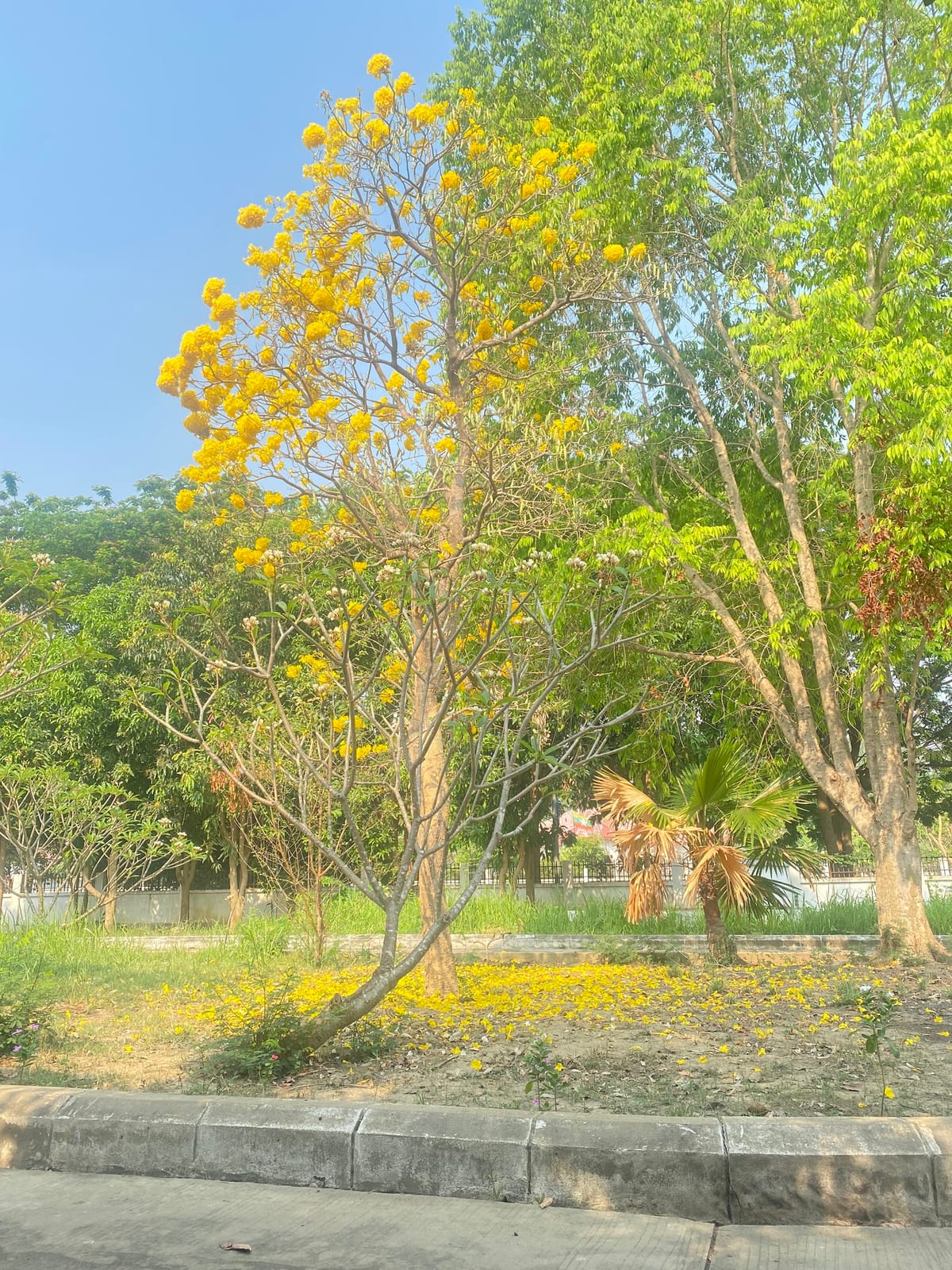 C-11, V-M Housing, Naypyitaw