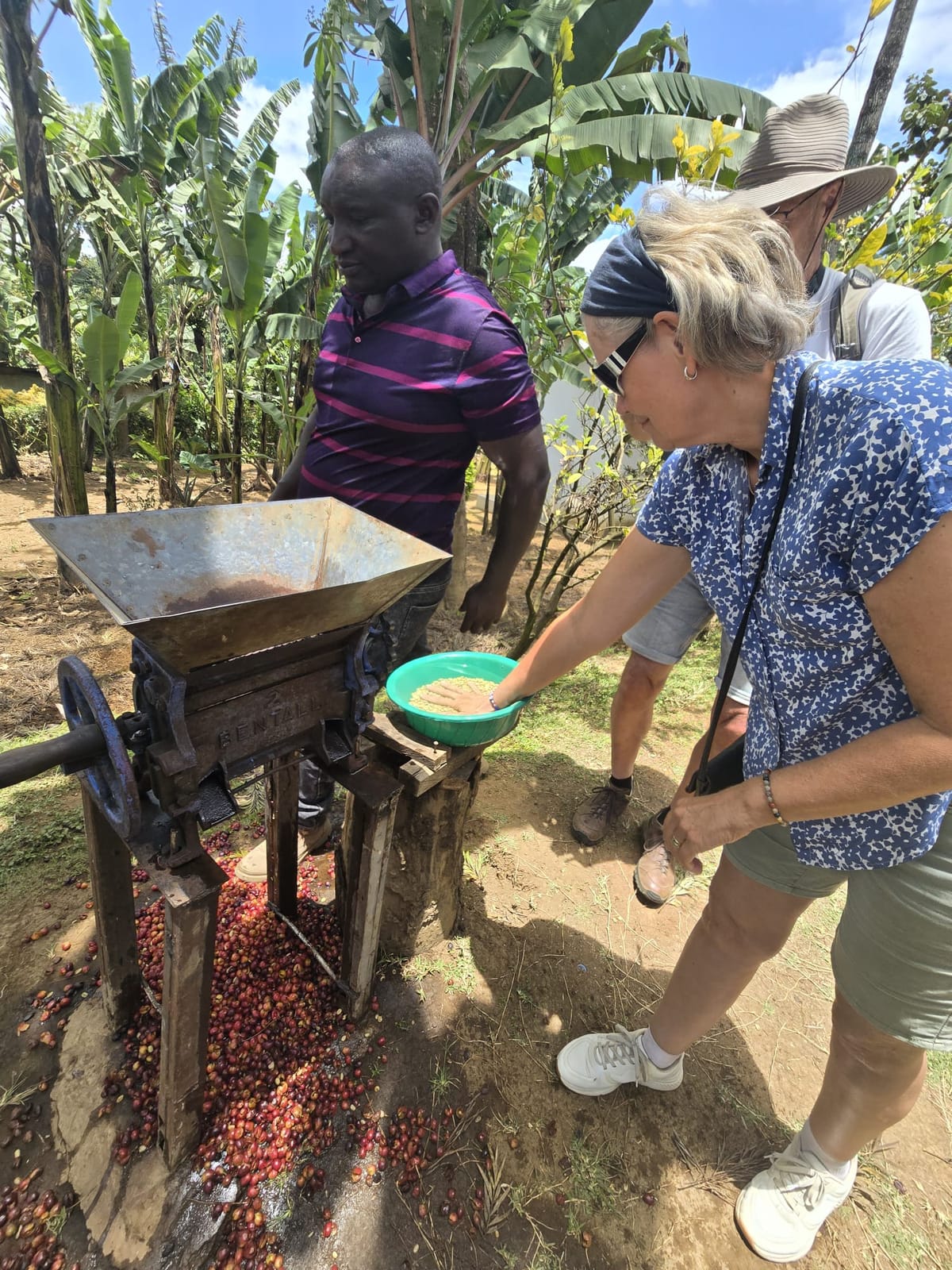Baraka coffee farm photo 3