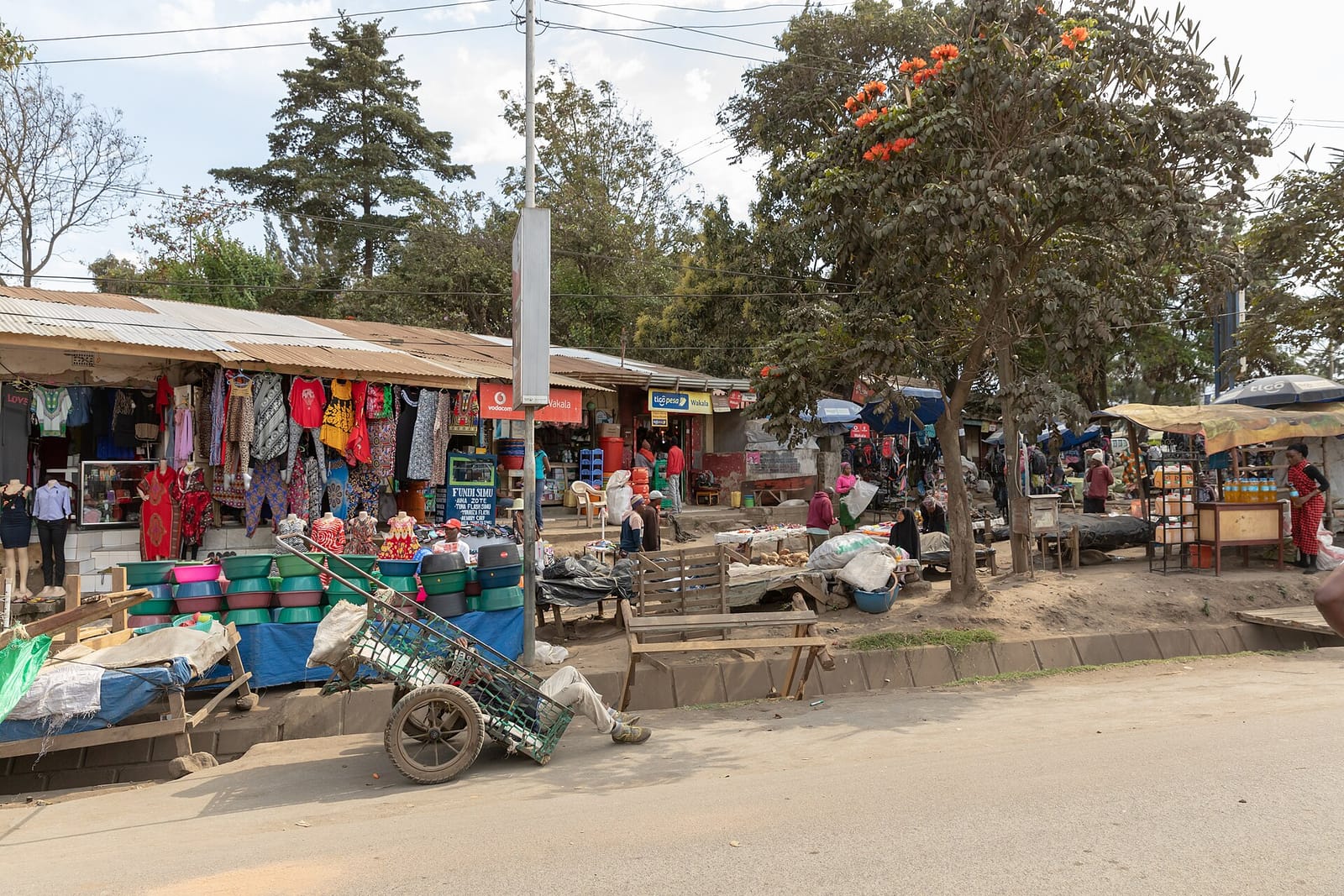Msumbi Coffees photo 4
