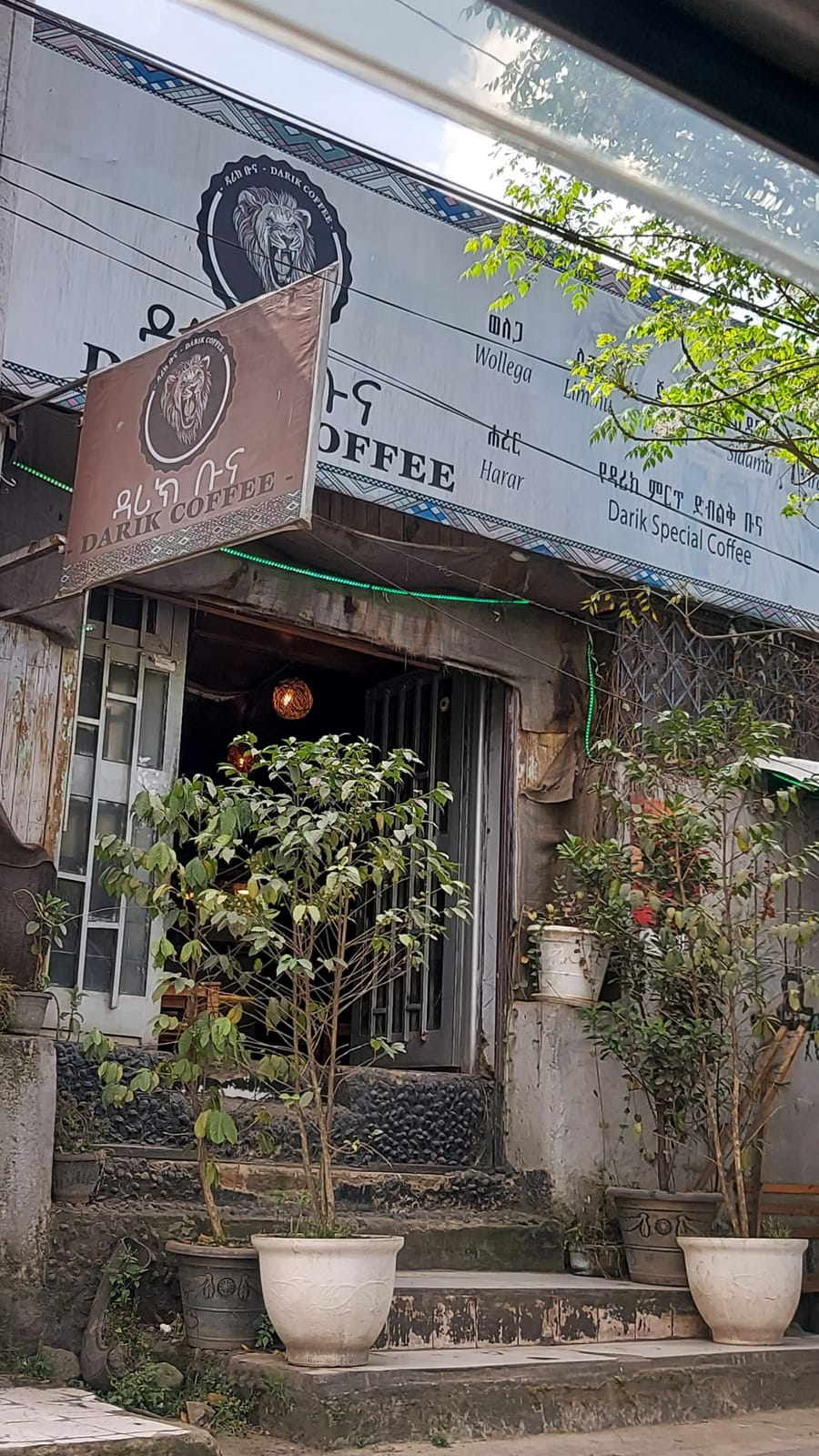Darik Coffee, Olompia Ethiopia