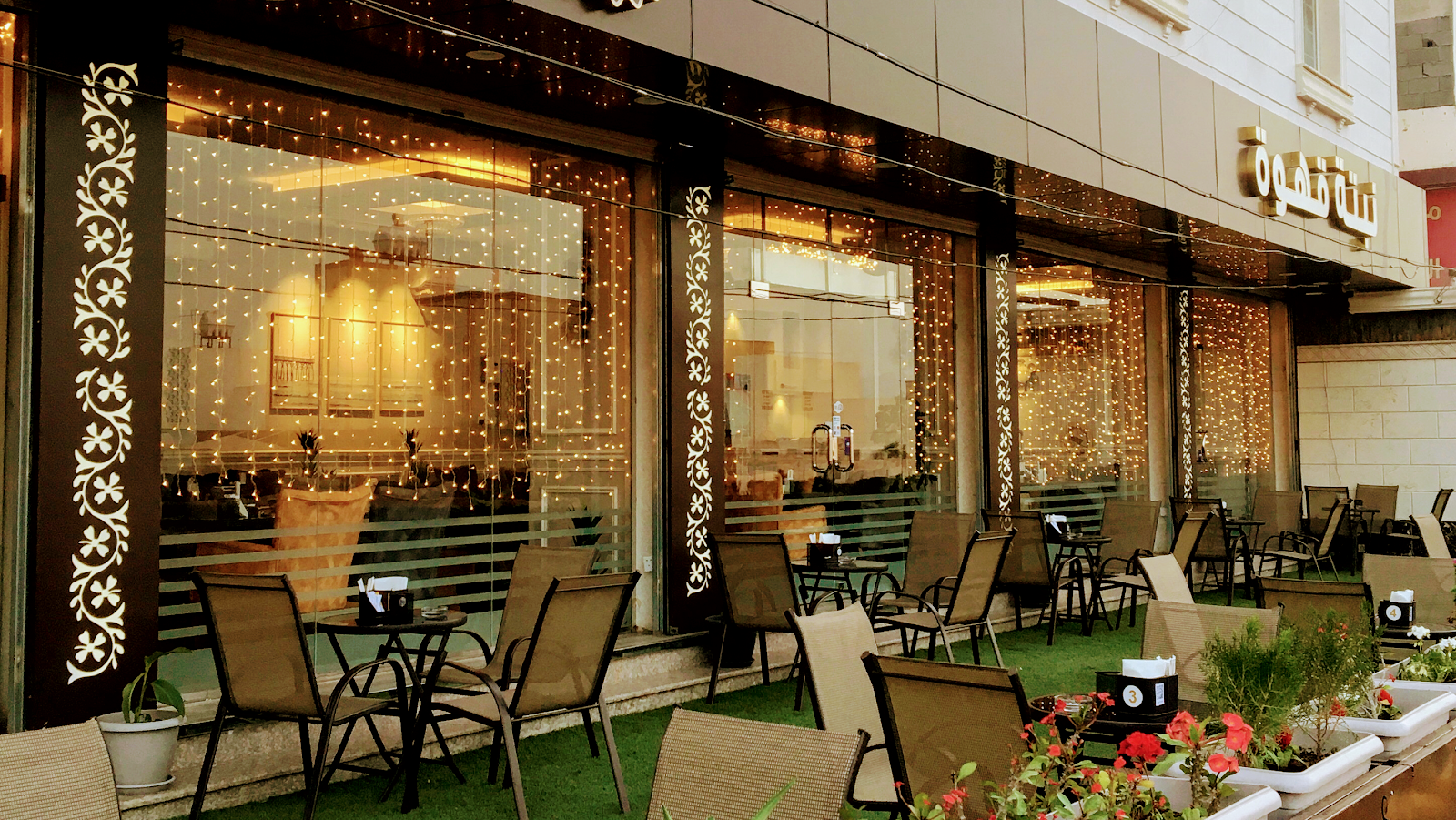 نبتة قهوة Nabta Coffee