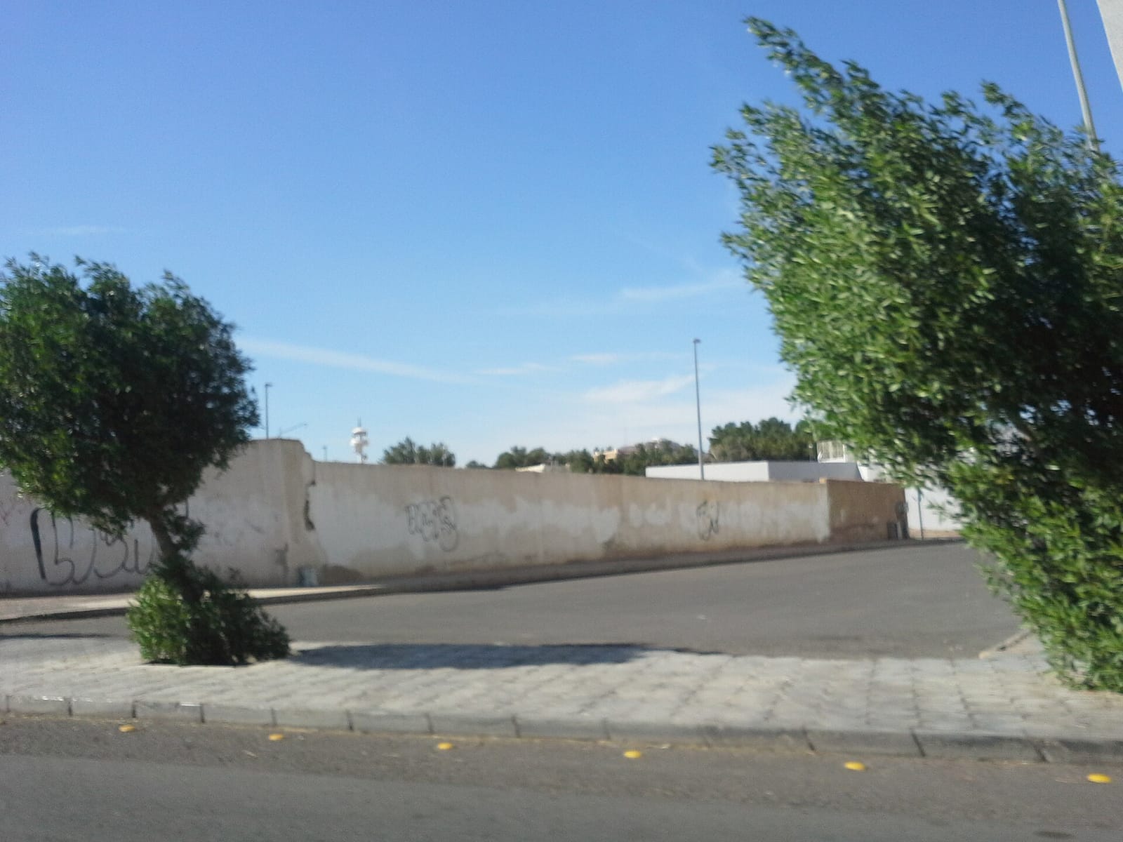 Ana Cafe photo 3