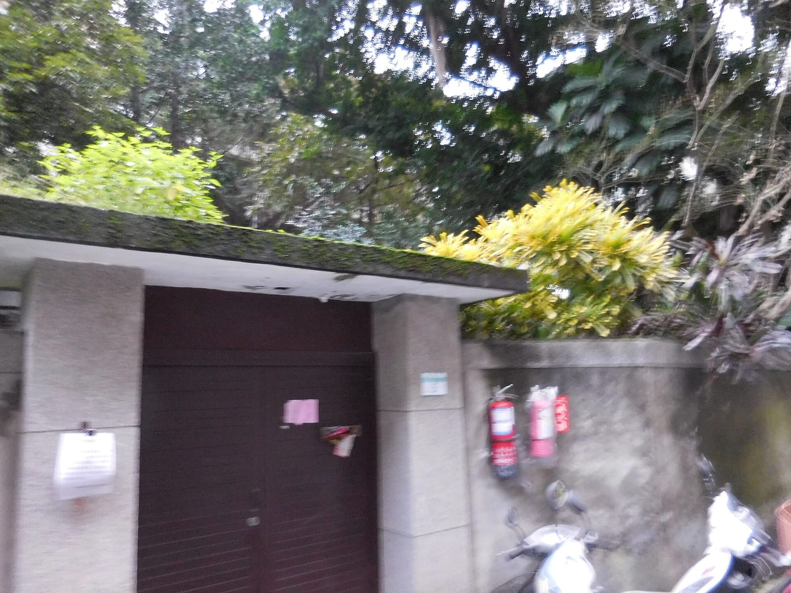 Jack & NaNa coffee store photo 2