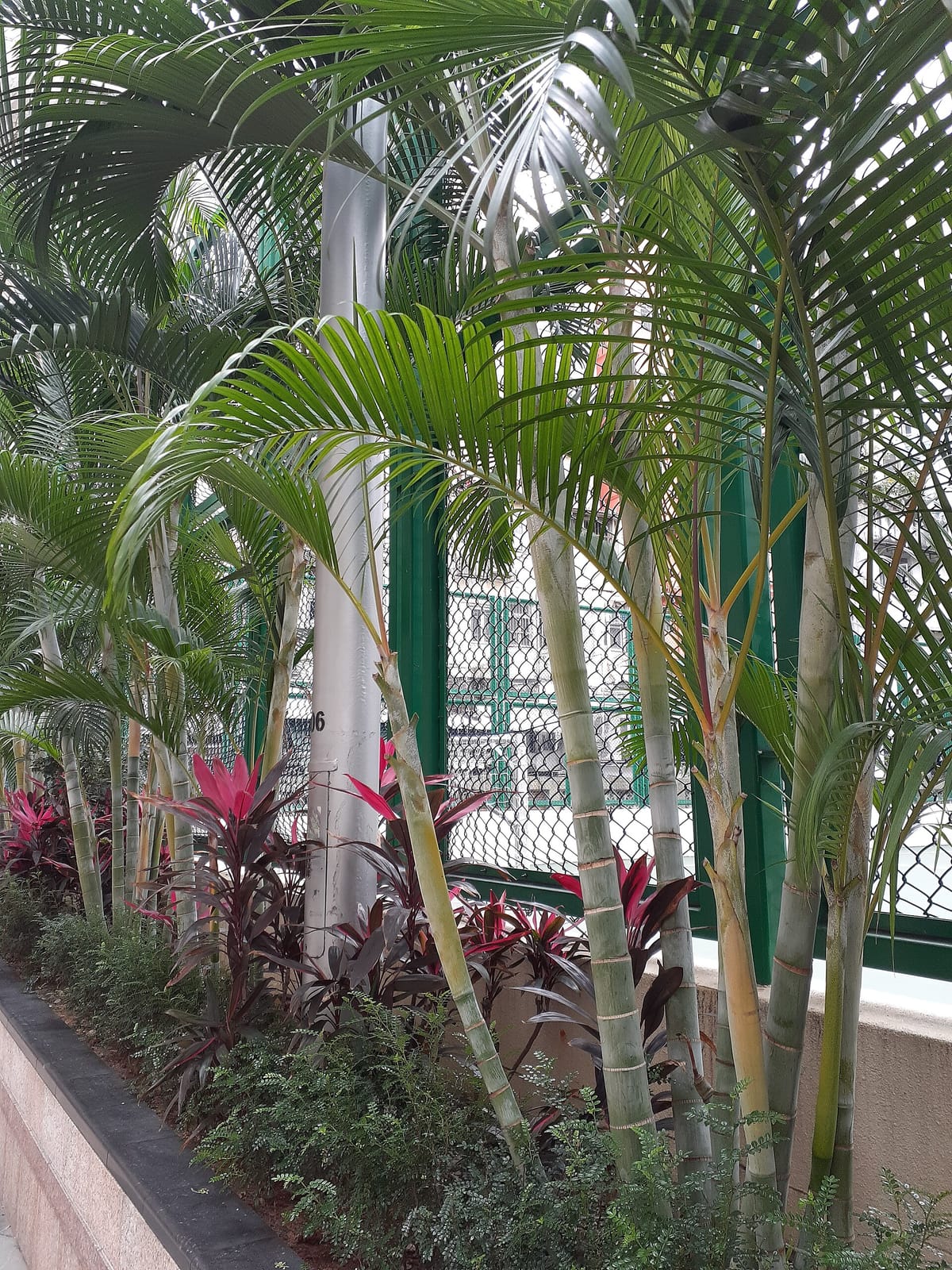Winstons Coffee - Sai Ying Pun photo 2