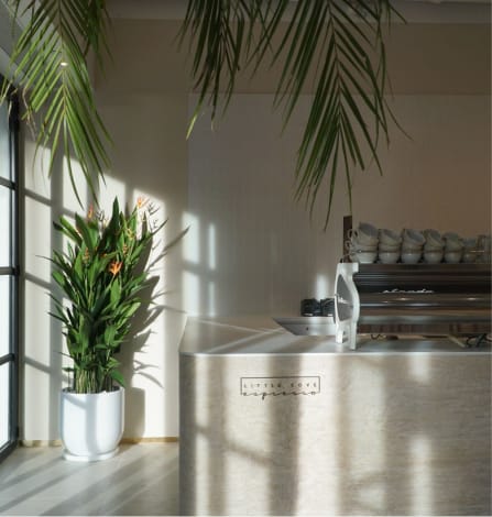 Little Cove Espresso photo 6