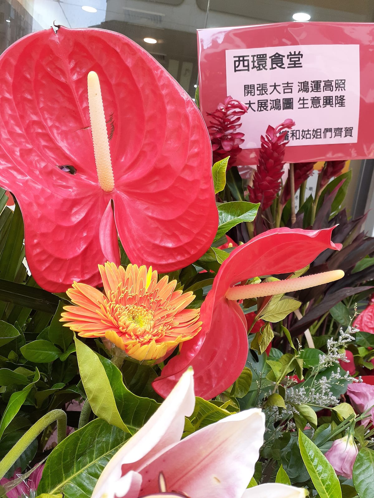 NOC (Sai Ying Pun) photo 5
