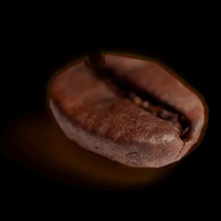 PROCOFFEE photo 3