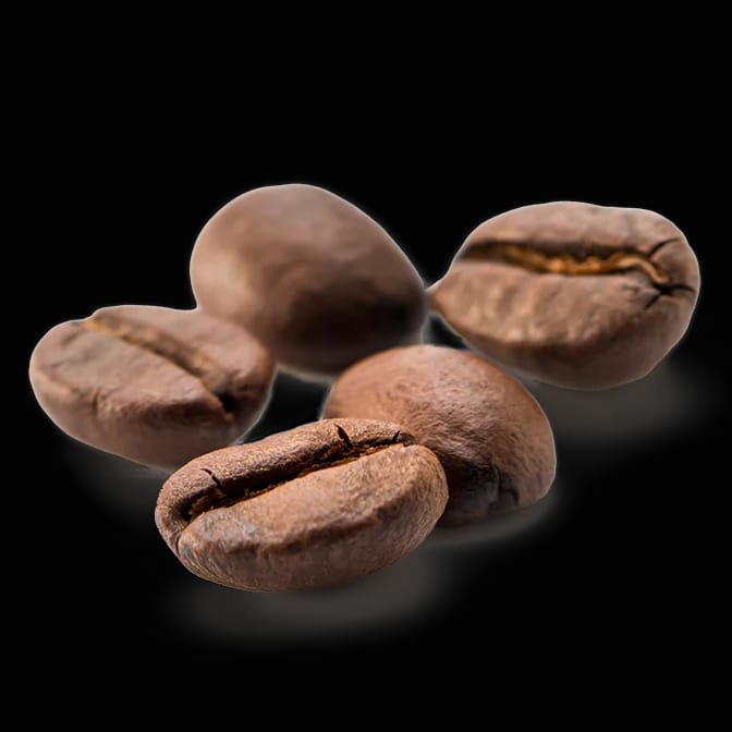 PROCOFFEE photo 2