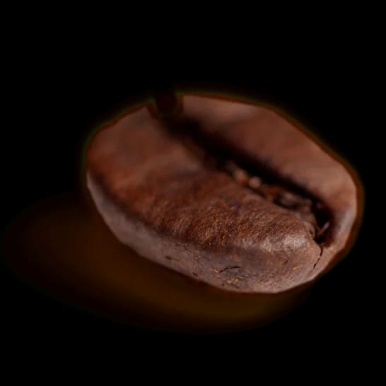 PROCOFFEE photo 4