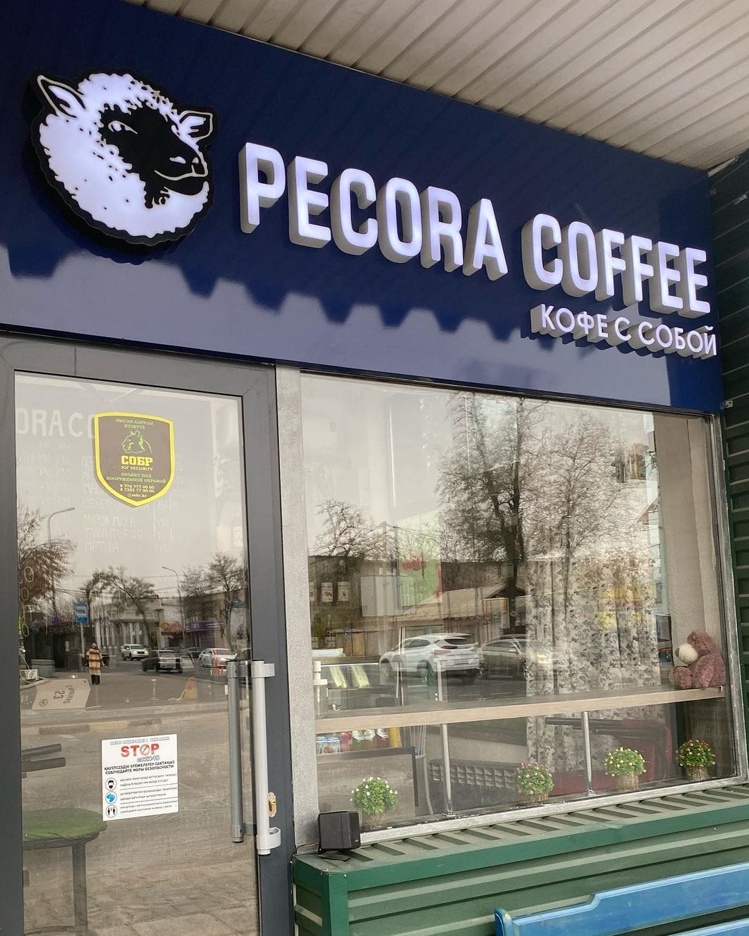Кофейня Pecora Coffee