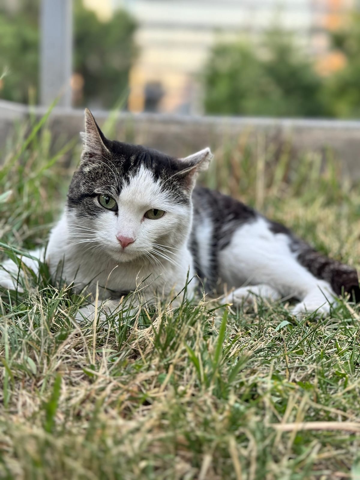JUNE — Городское кафе в Ташкенте photo 4
